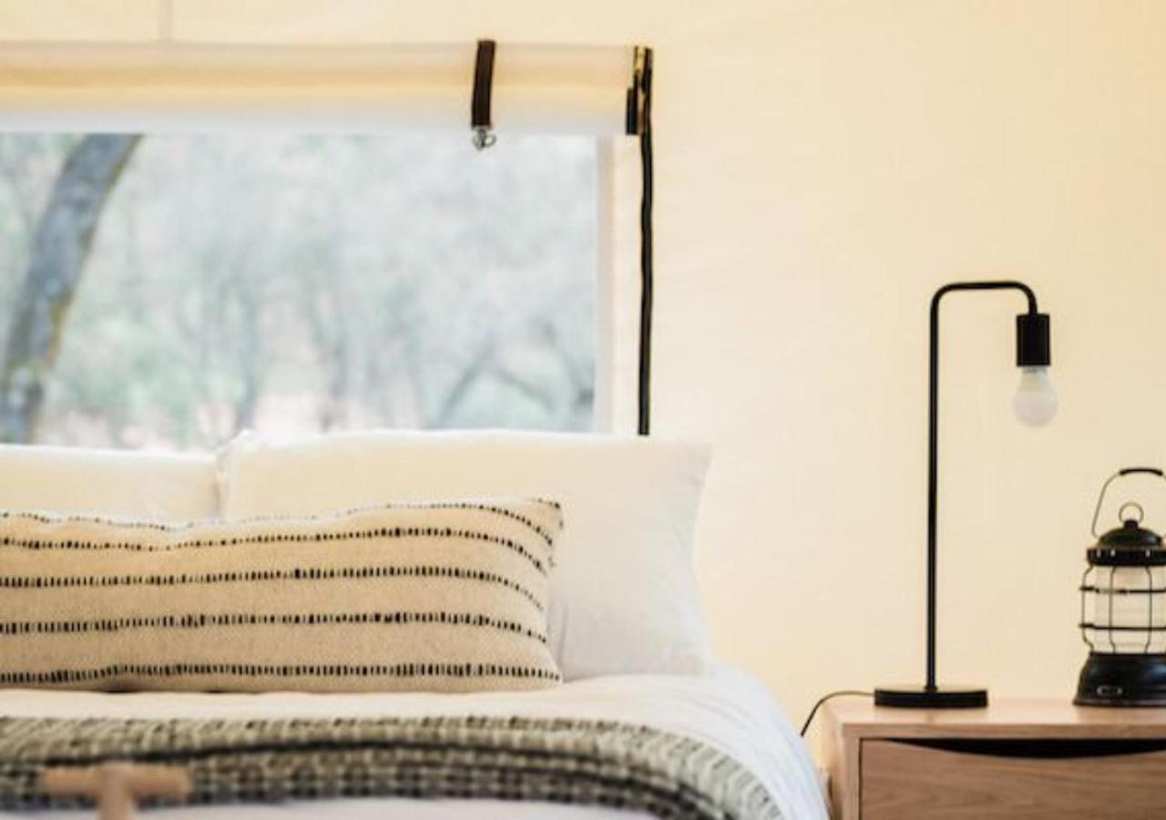 AutoCamp Catskills photo 12