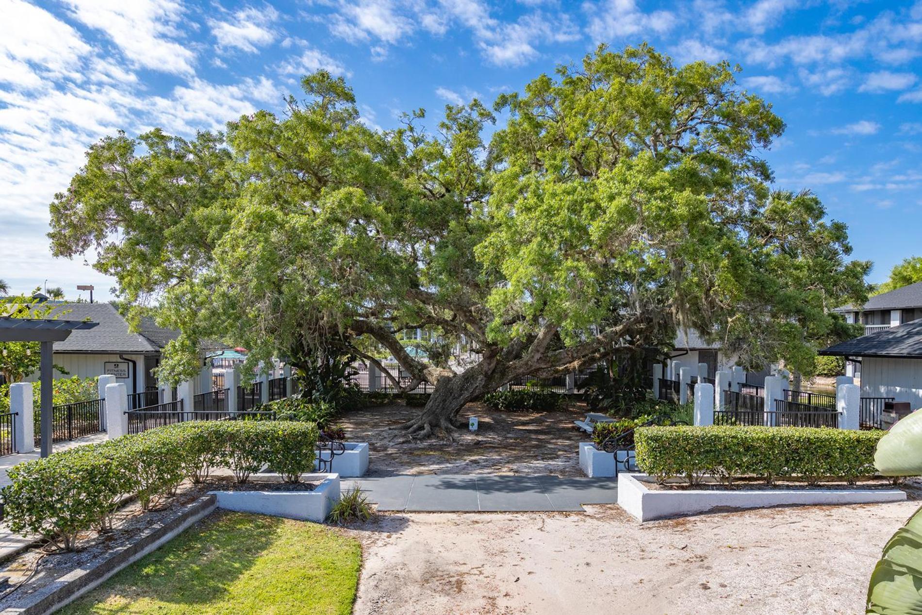 Legacy Vacation Resorts - Palm Coast photo 35