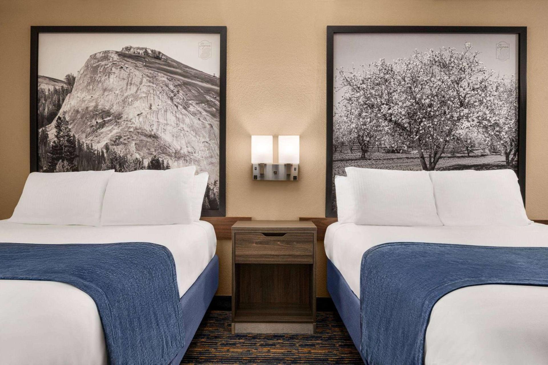 Super 8 by Wyndham Lindsay Olive Tree photo 20