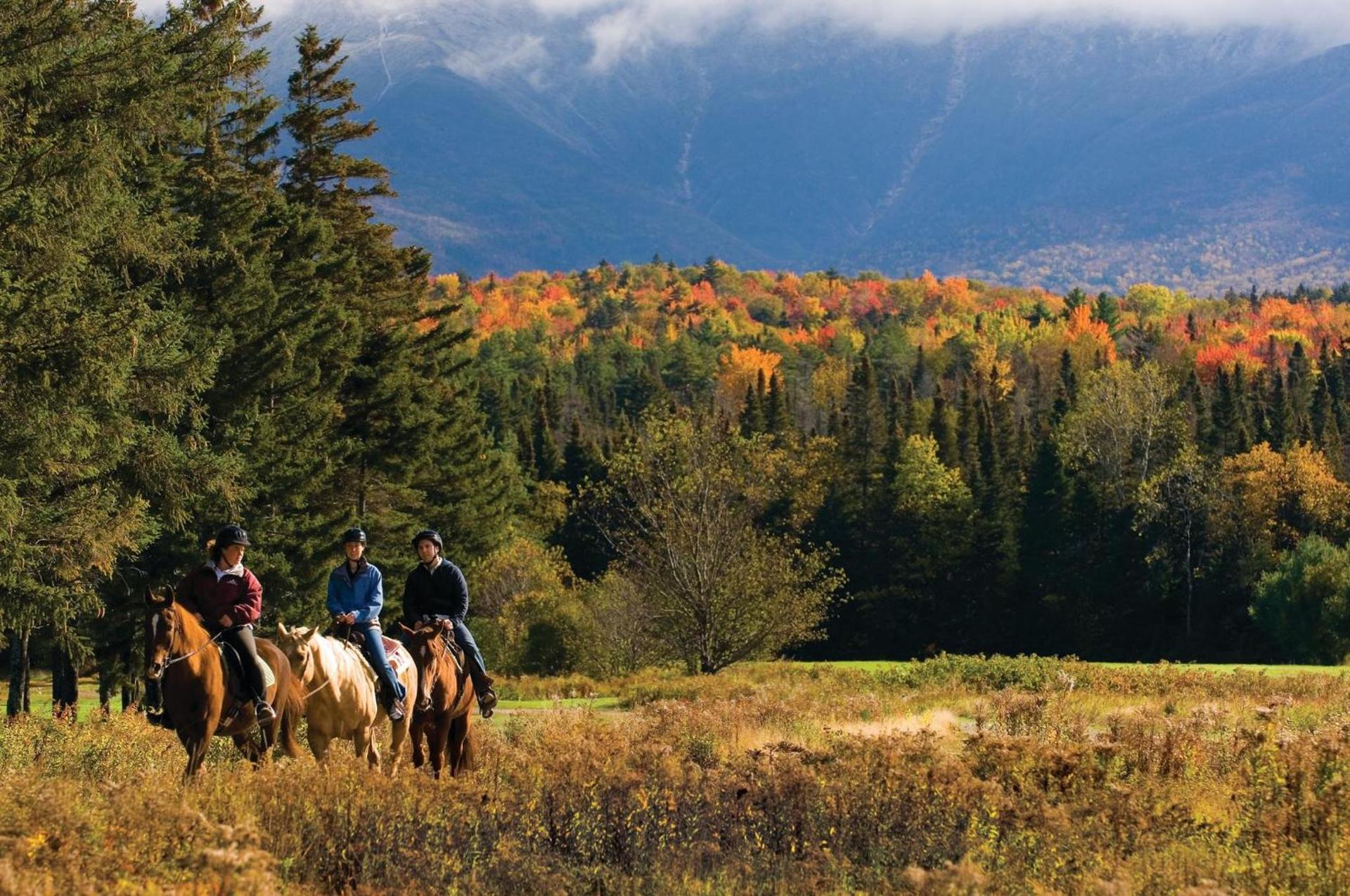 Omni Mount Washington Resort & Spa photo 50