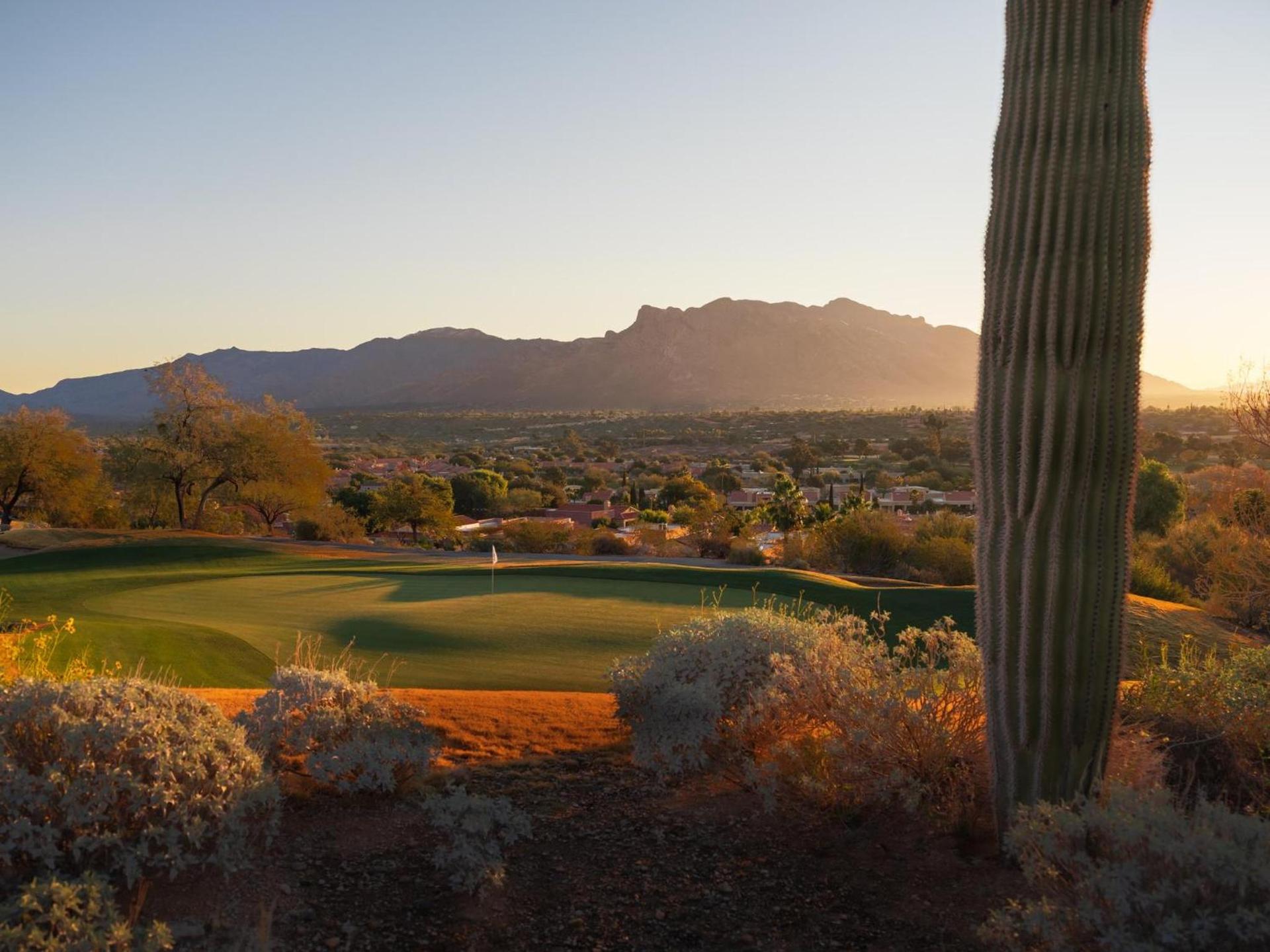 Omni Tucson National Resort & Spa photo 39