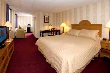 Amsterdam Hotel photo 8