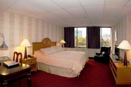 Amsterdam Hotel photo 10