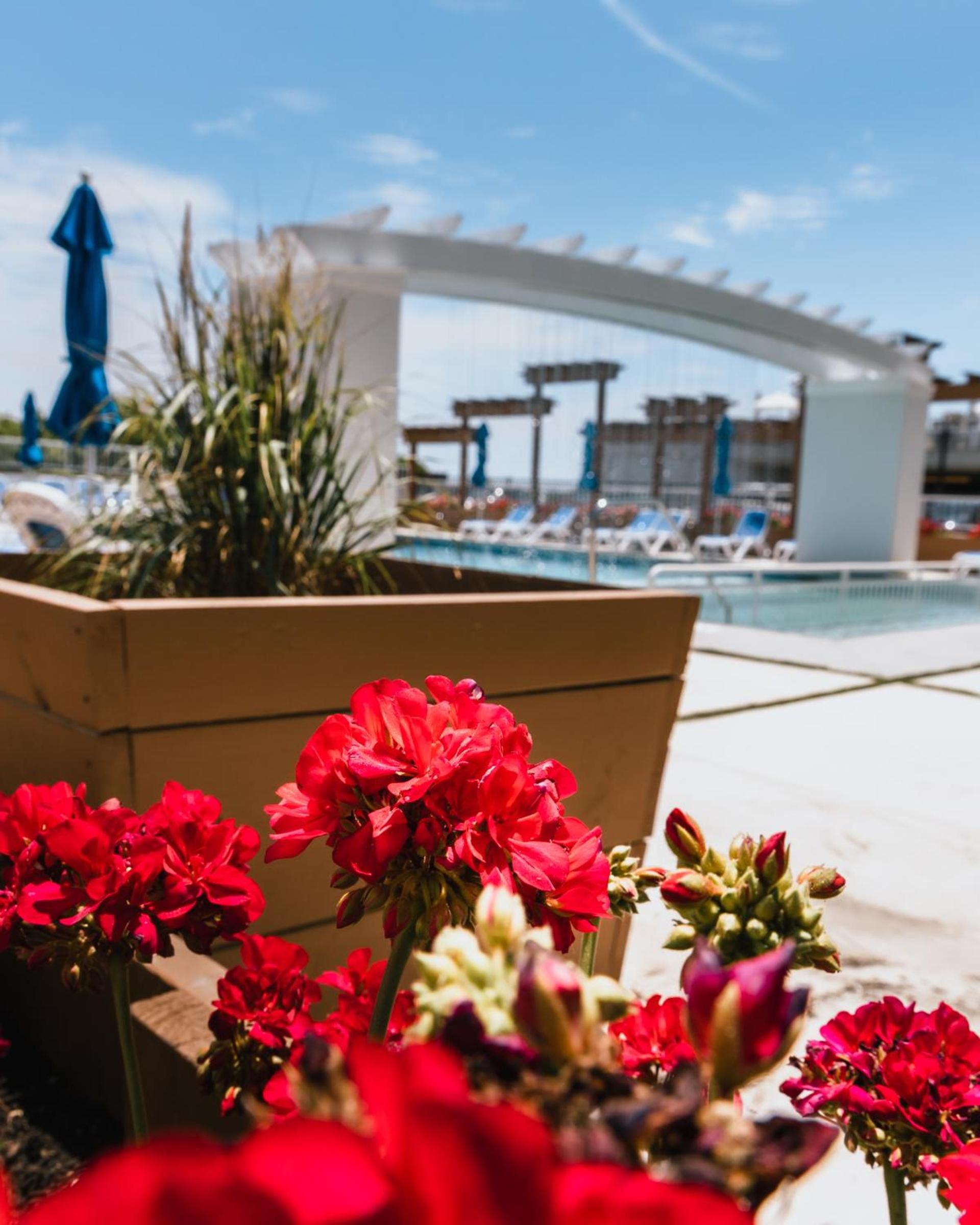 Mahalo Diamond Beach Resort photo 5