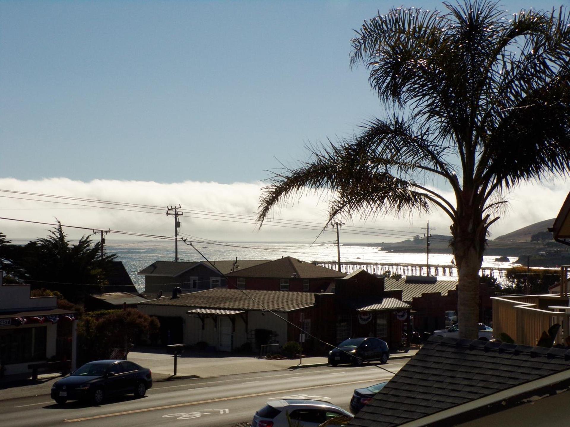 Cypress Tree Motel photo 16