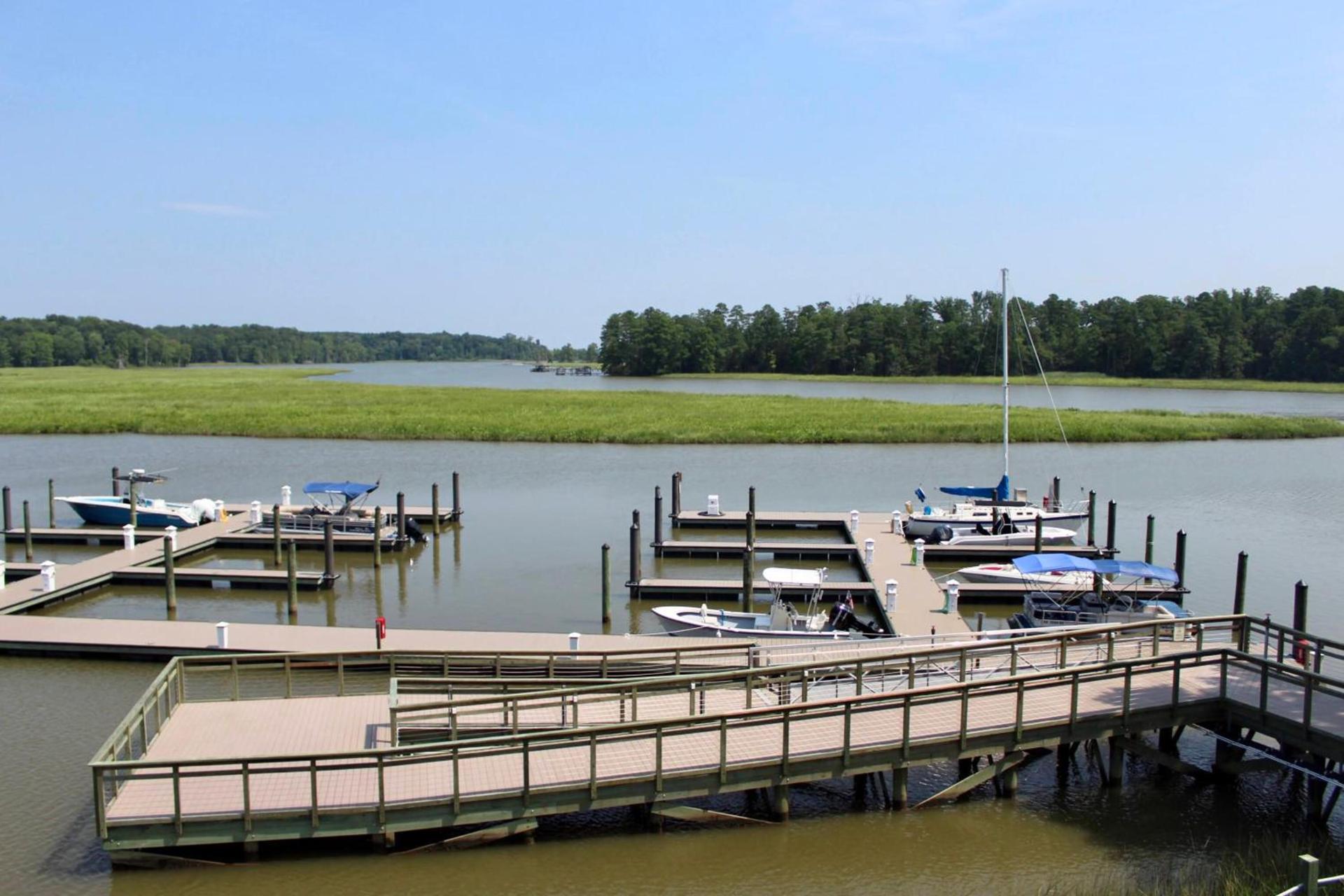 Surry Seafood Company photo 2