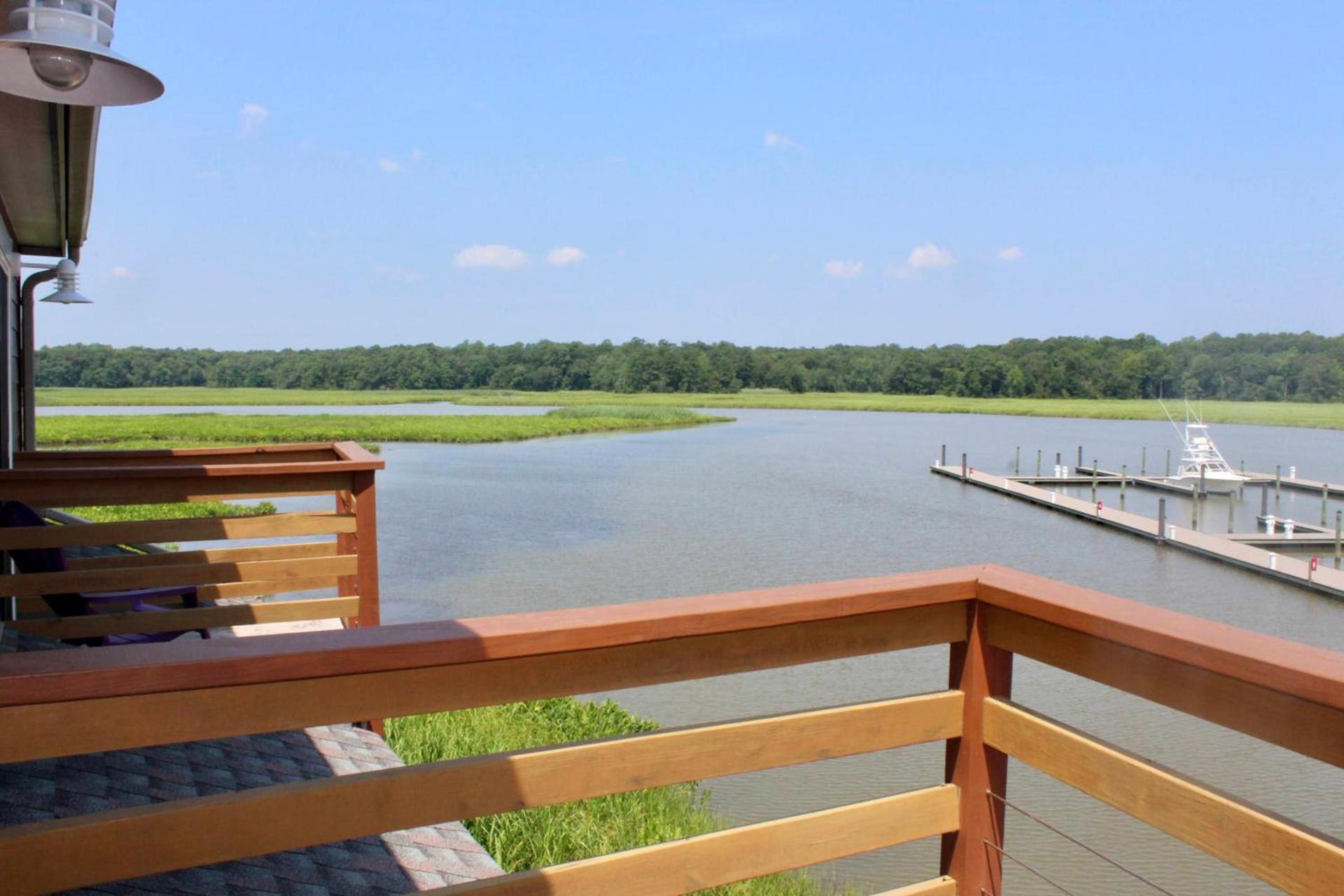 Surry Seafood Company photo 6