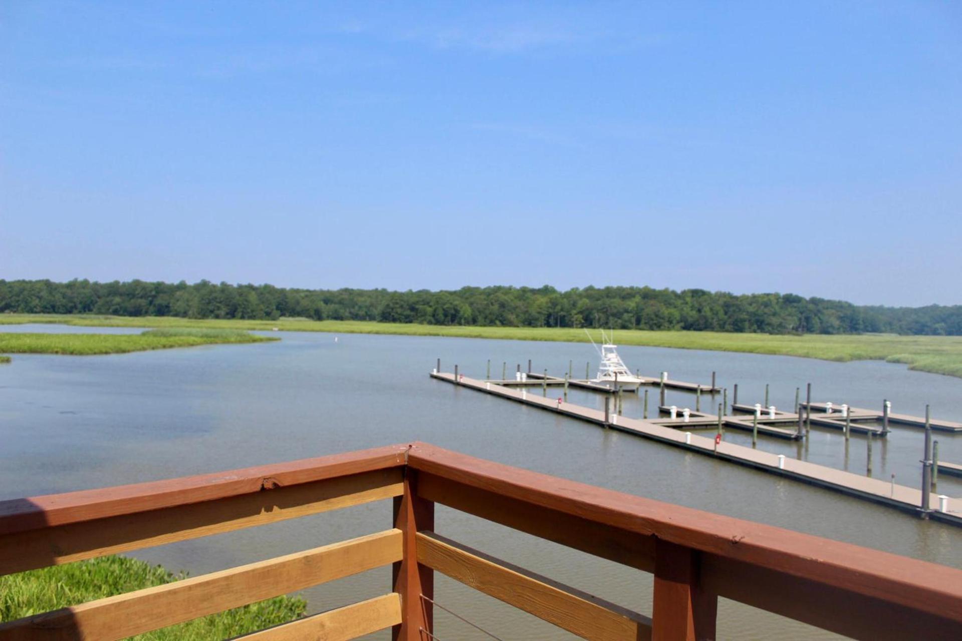 Surry Seafood Company photo 12