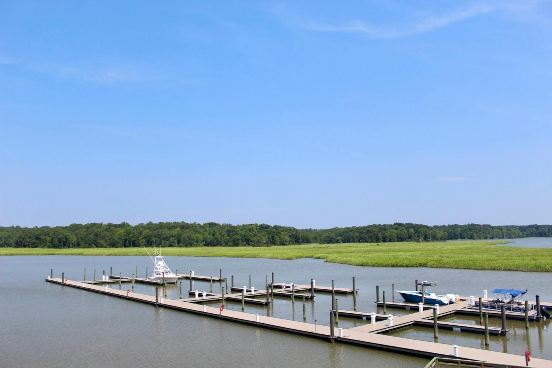 Surry Seafood Company photo 17