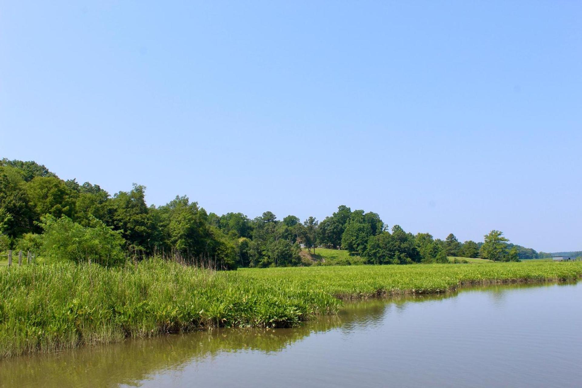 Surry Seafood Company photo 14