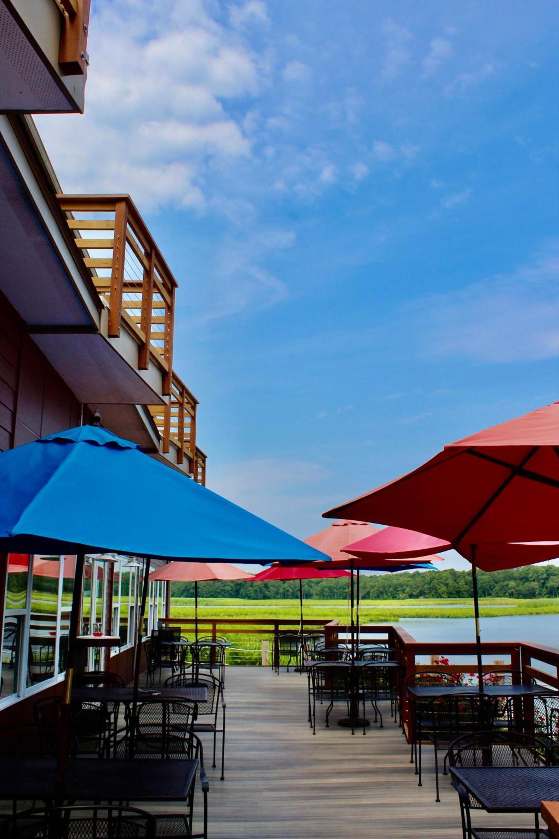 Surry Seafood Company photo 16