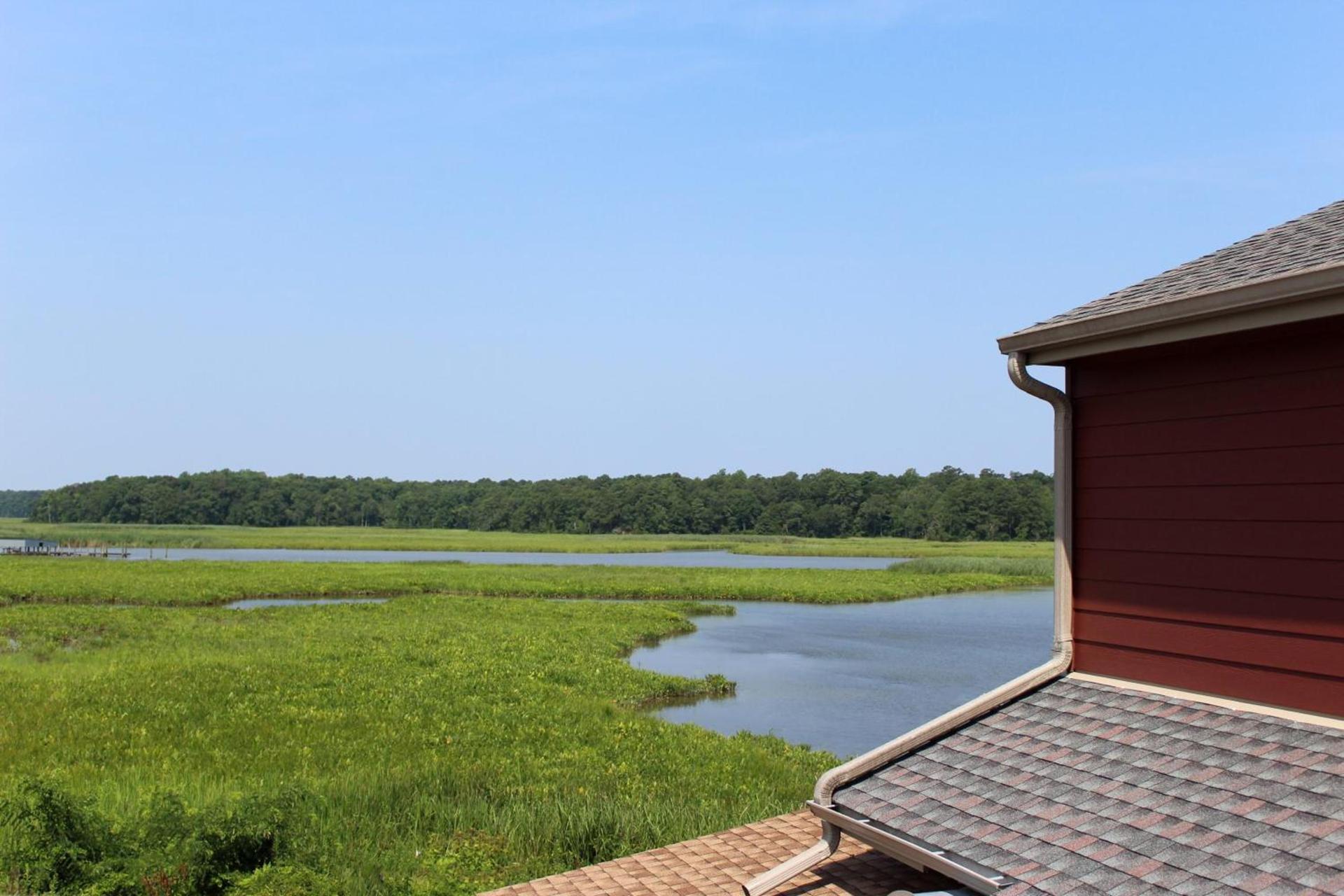 Surry Seafood Company photo 18