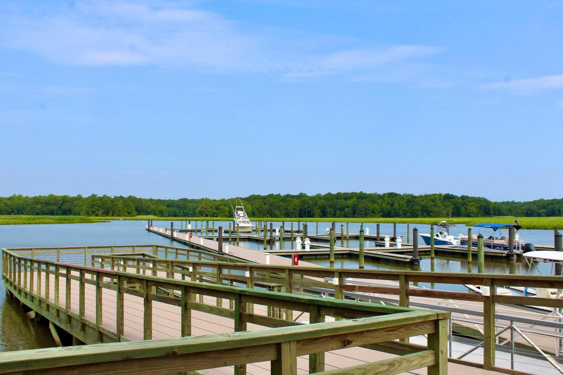 Surry Seafood Company photo 22
