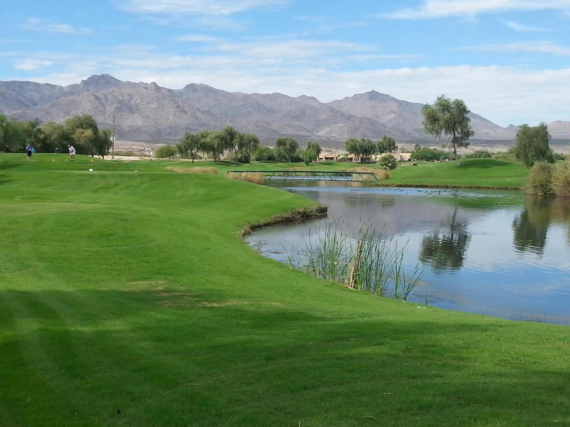 Avi Resort & Casino photo 11