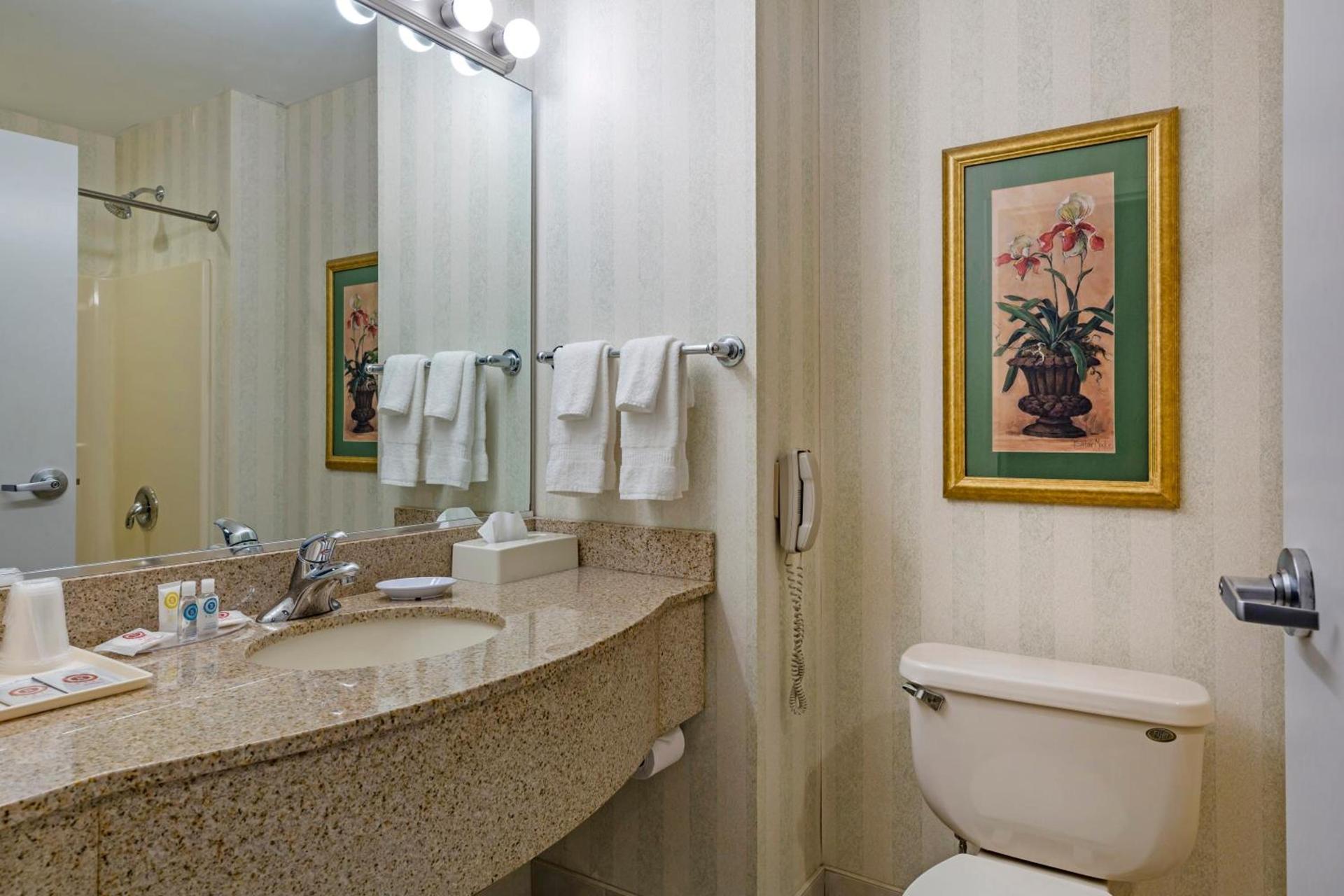 Comfort Inn & Suites East Greenbush - Albany photo 63