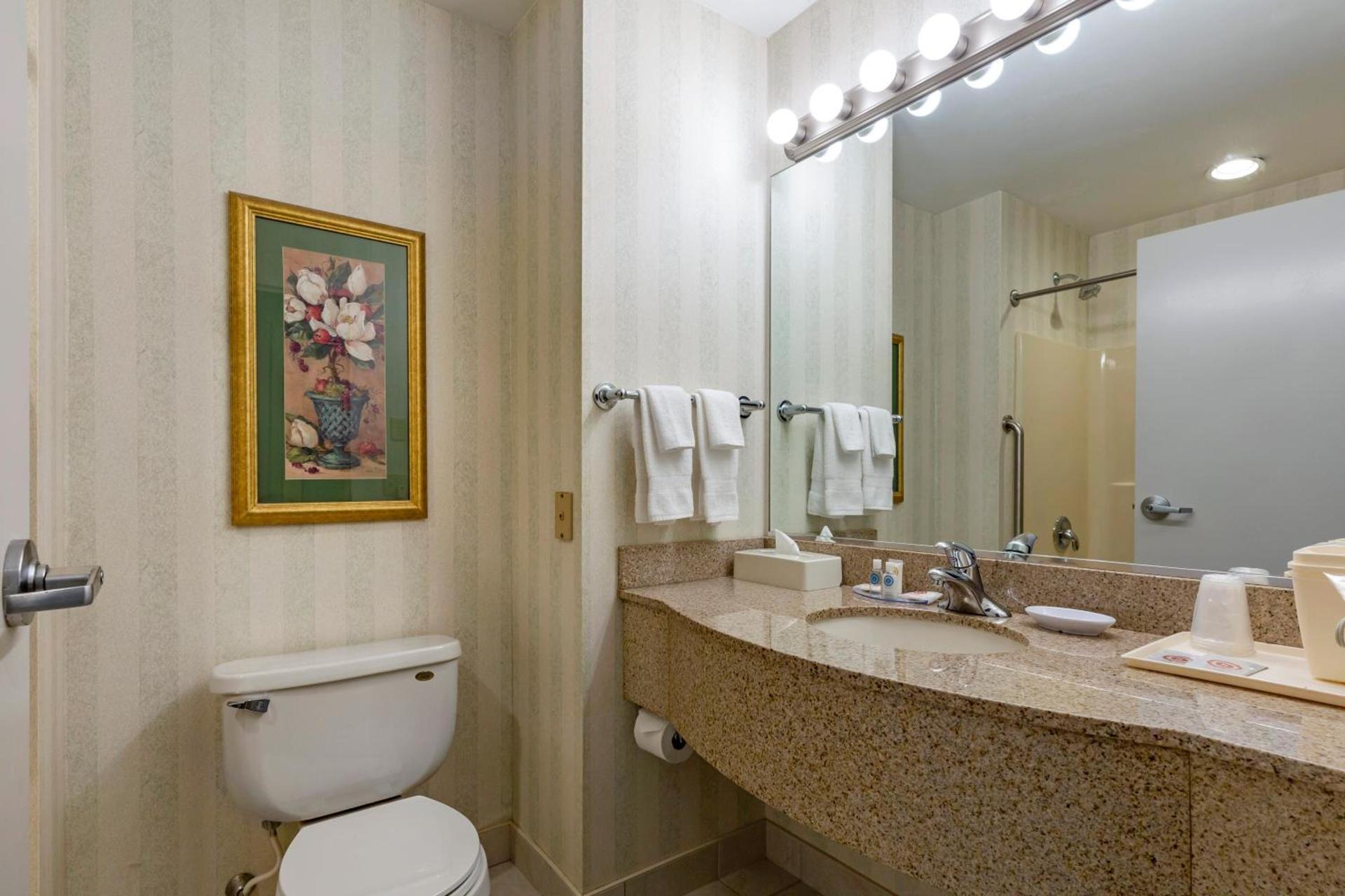Comfort Inn & Suites East Greenbush - Albany photo 64