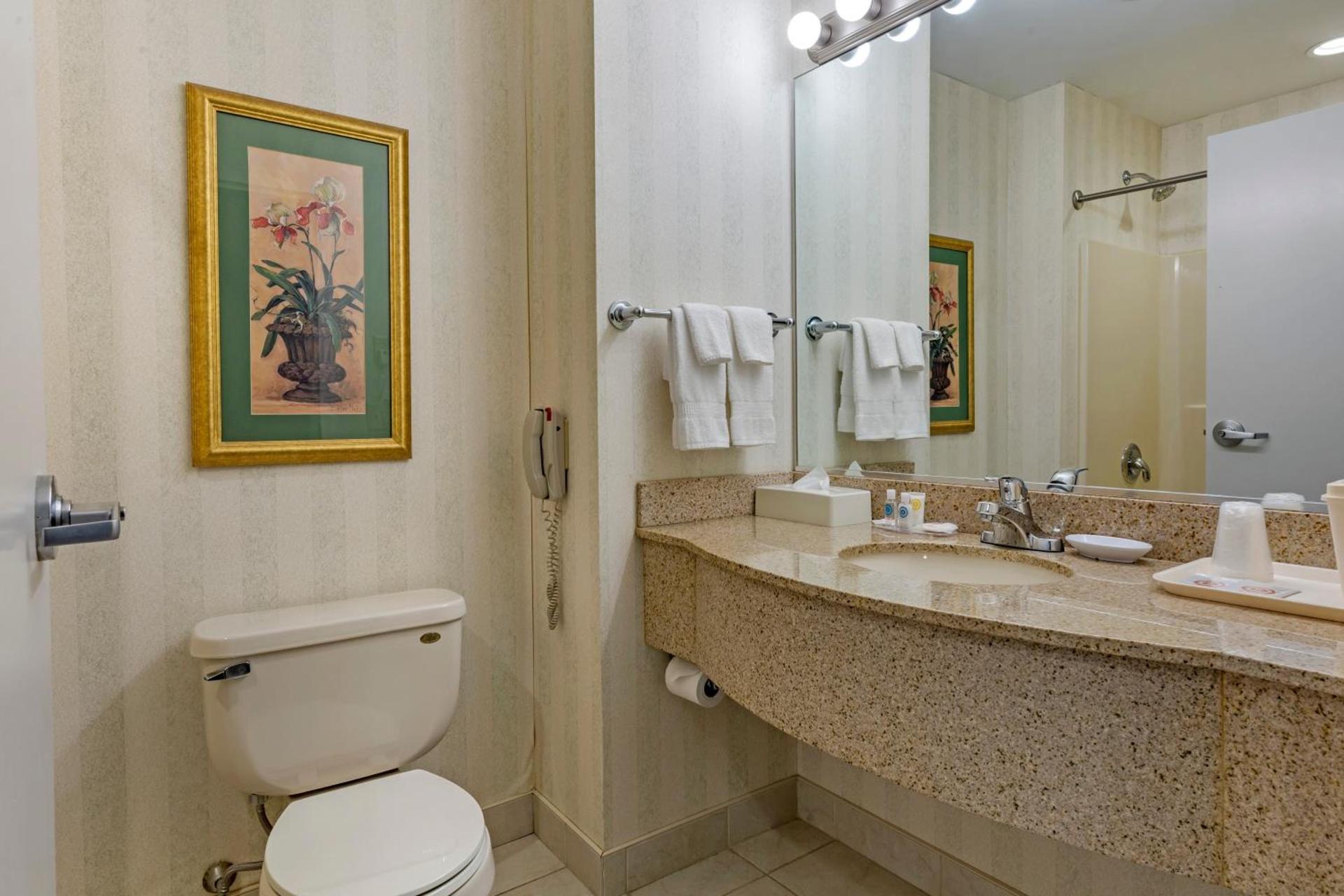 Comfort Inn & Suites East Greenbush - Albany photo 65