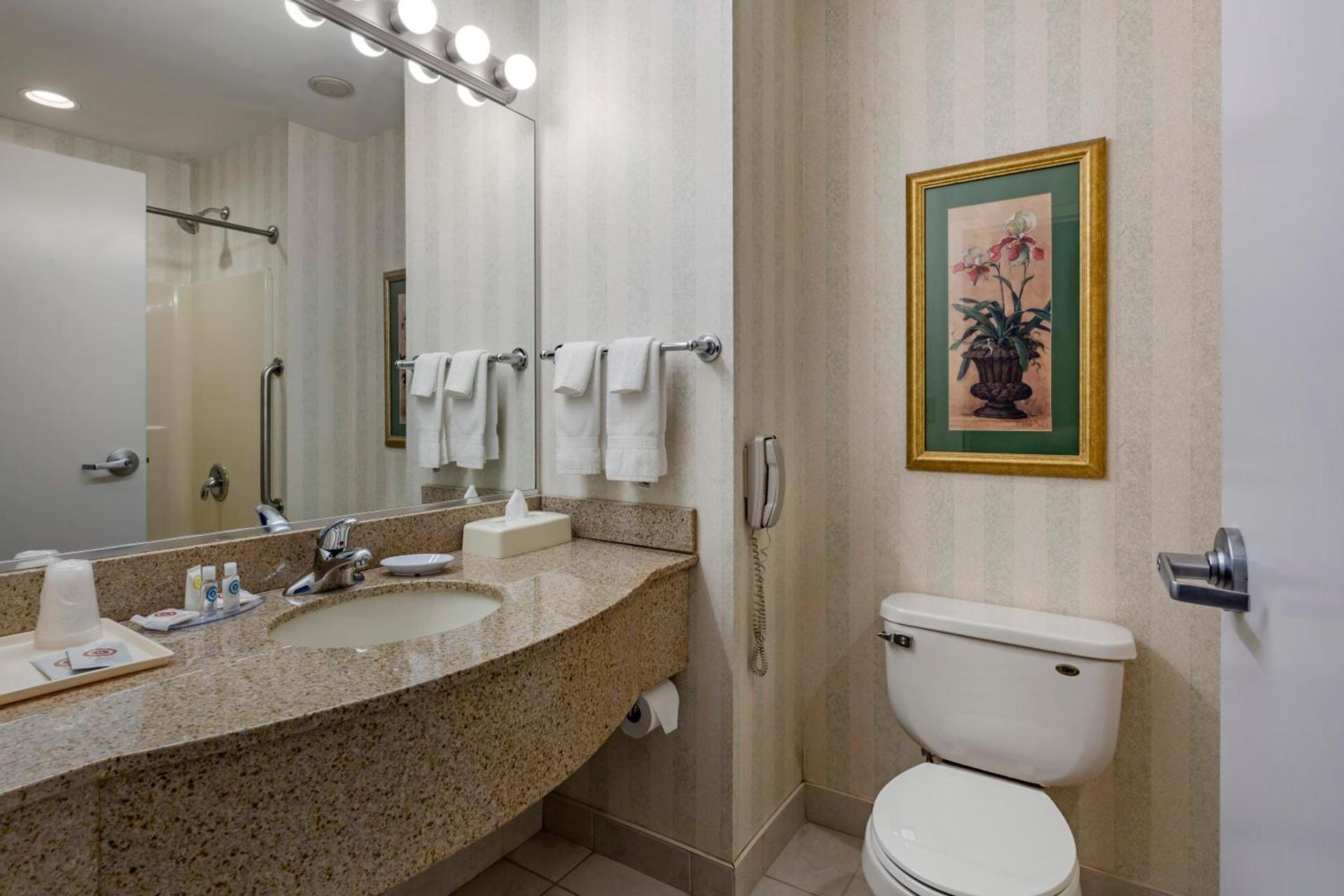 Comfort Inn & Suites East Greenbush - Albany photo 66