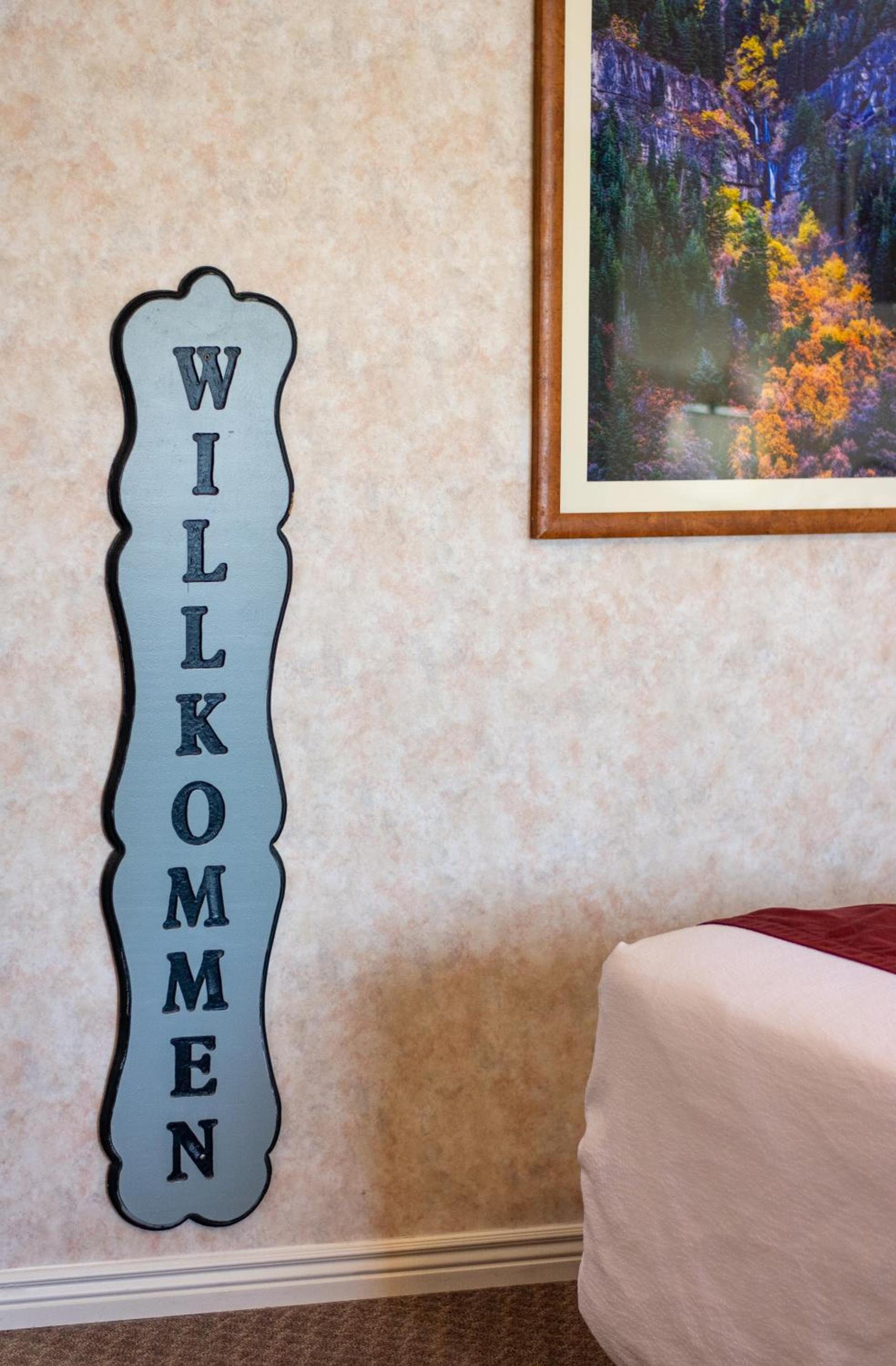 Swiss Alps Inn photo 20