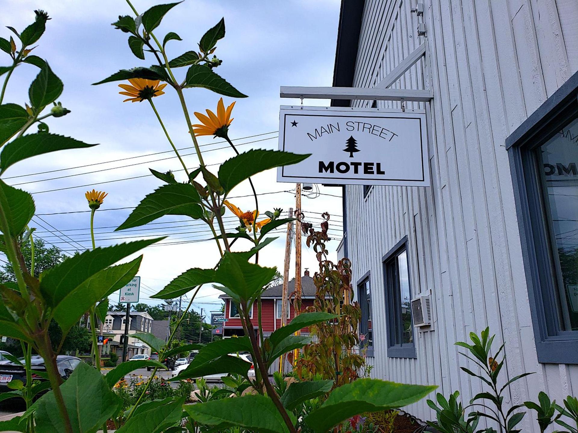 Main Street Motel photo 15