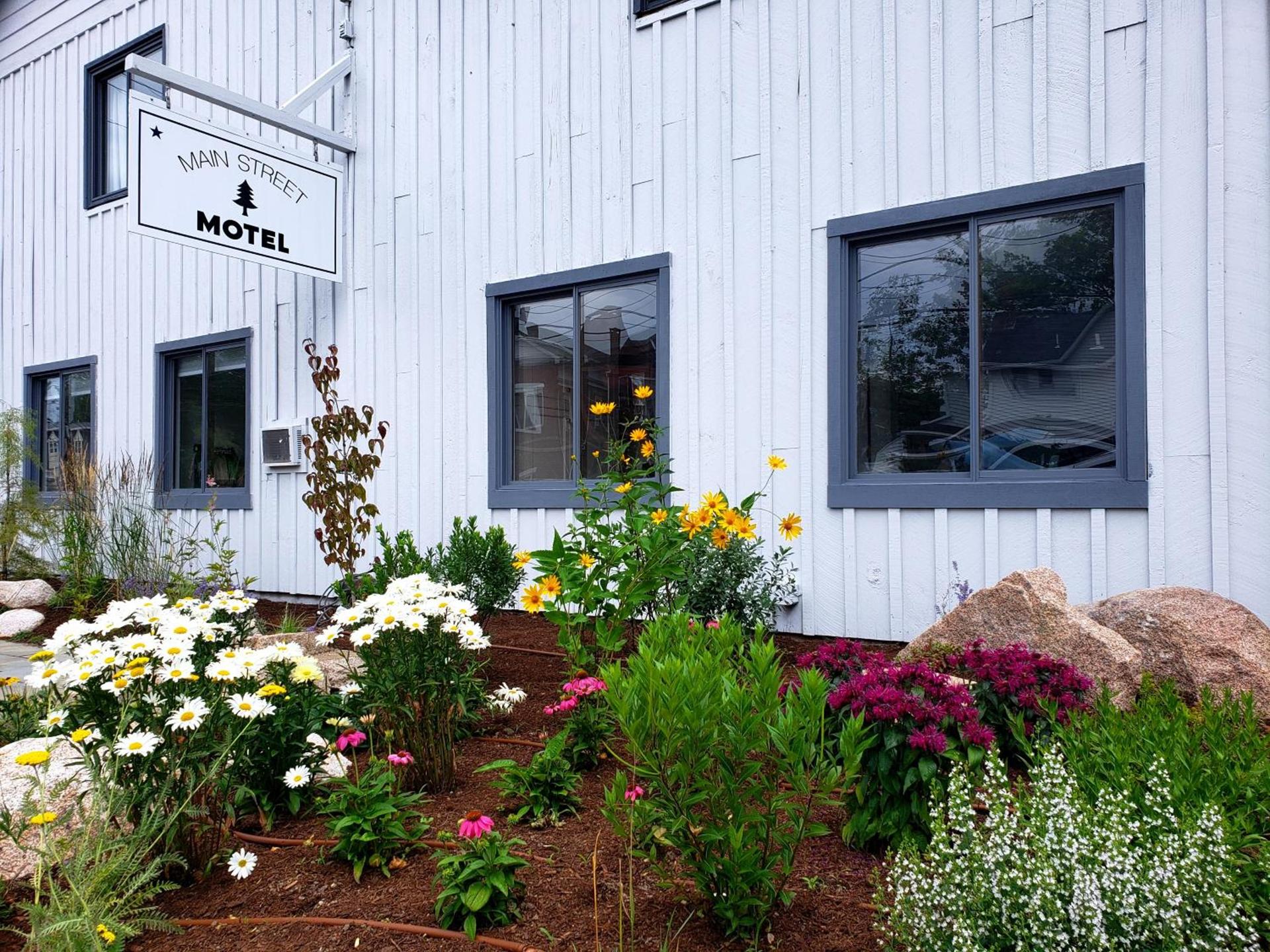 Main Street Motel photo 1