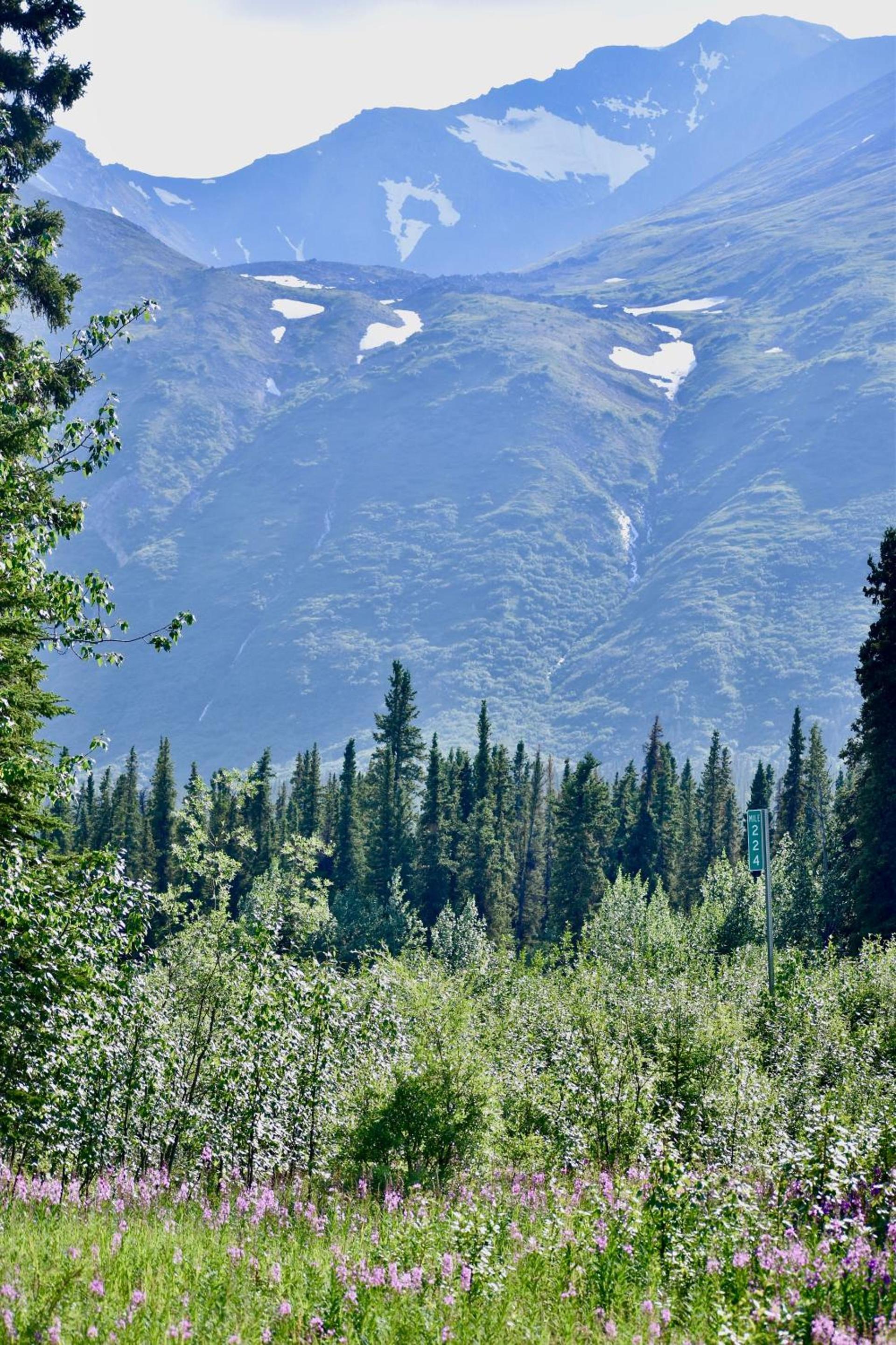 The Perch Resort photo 8