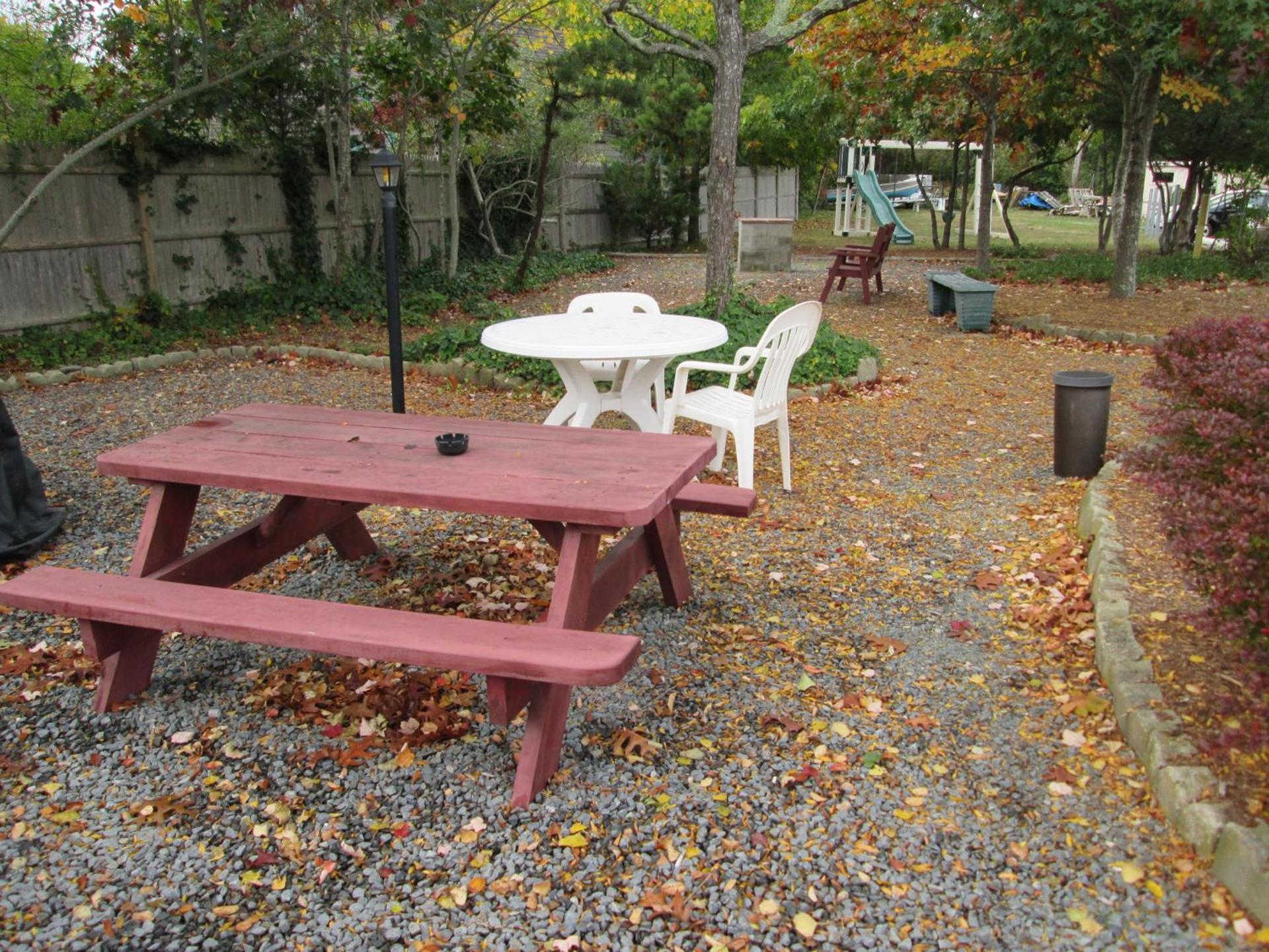 Eastwood at Provincetown photo 5