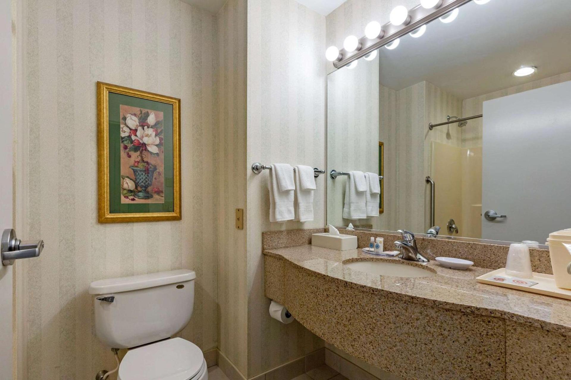 Comfort Inn & Suites East Greenbush - Albany photo 21