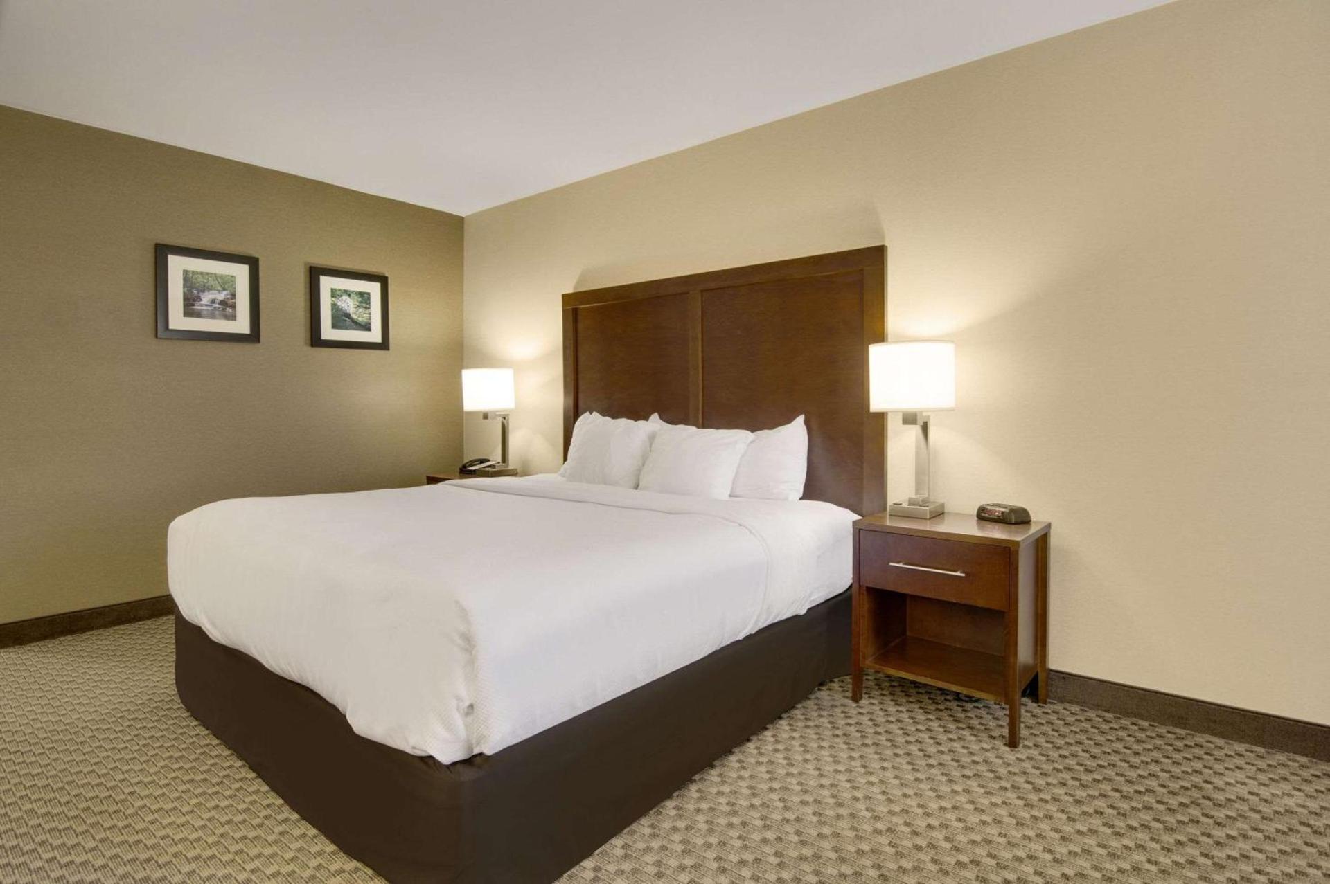 Comfort Inn Airport photo 10