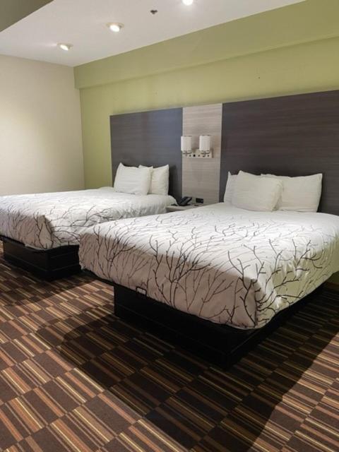HomeTown Inn and Suites Belle Plaine photo 22