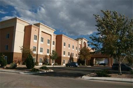 Hampton Inn & Suites Hobbs photo 17