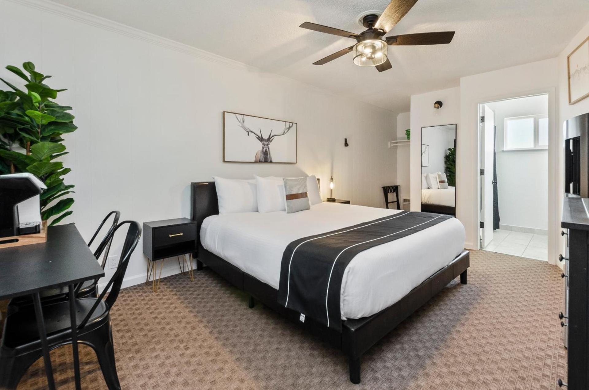 The Jeffrey Hotel photo 50