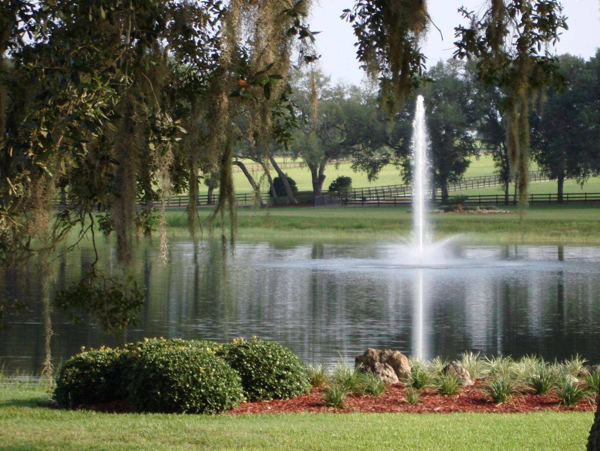 The Grand Oaks Resort photo 16