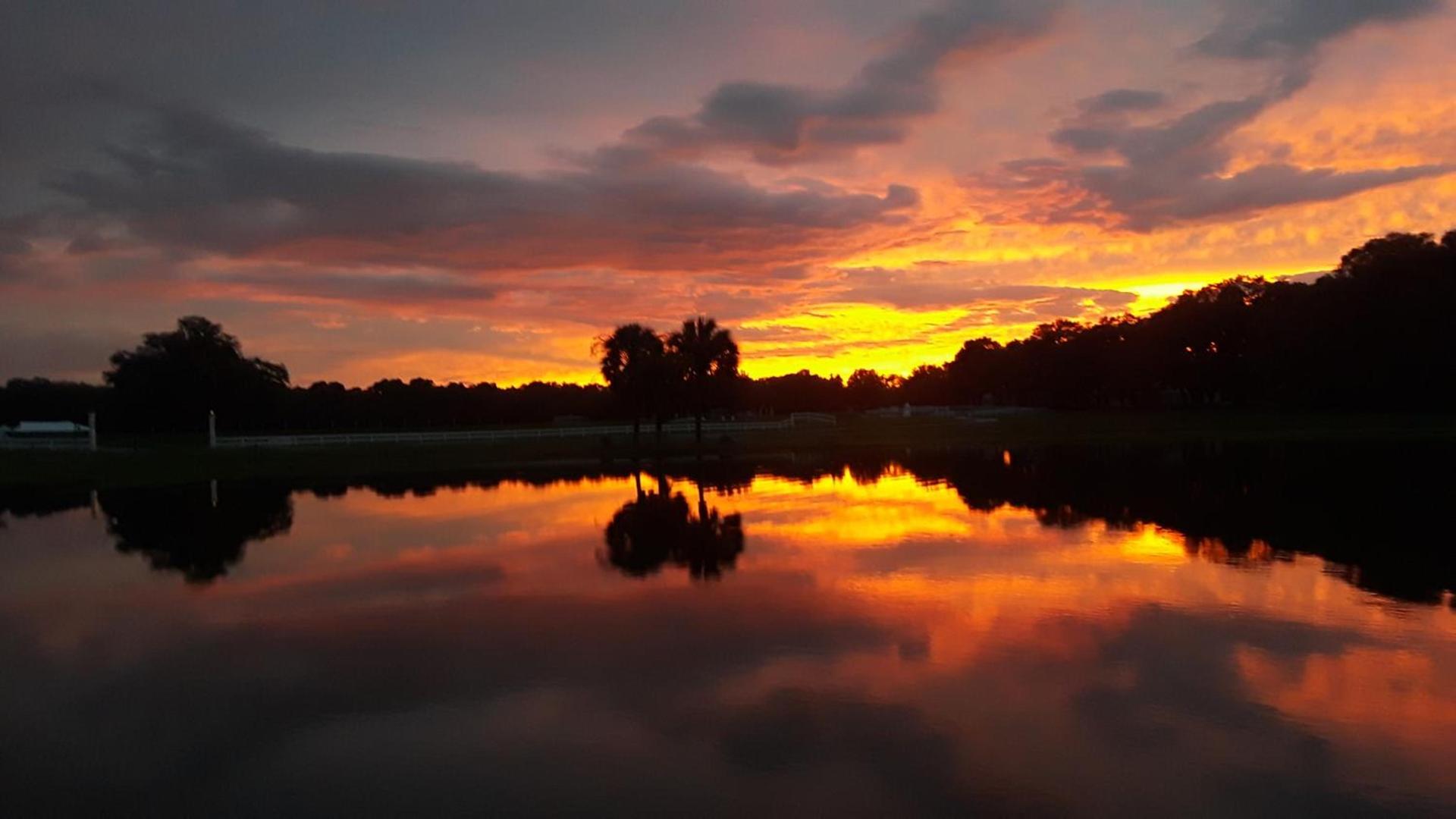 The Grand Oaks Resort photo 19