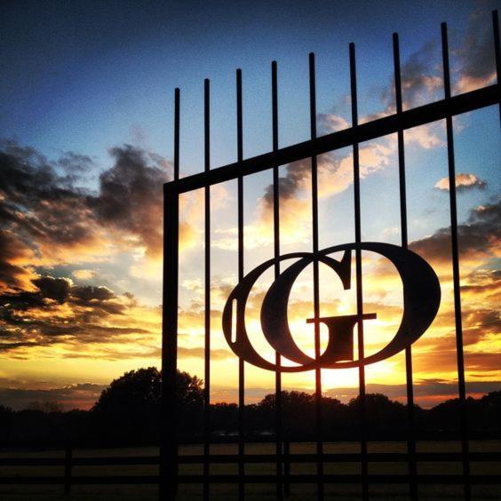 The Grand Oaks Resort photo 12