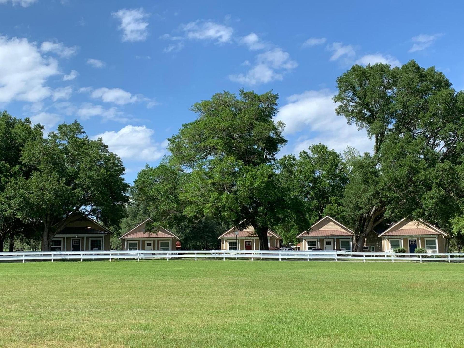 The Grand Oaks Resort photo 1