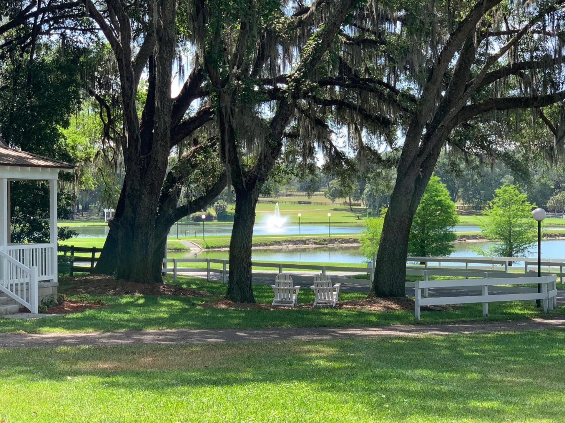 The Grand Oaks Resort photo 3