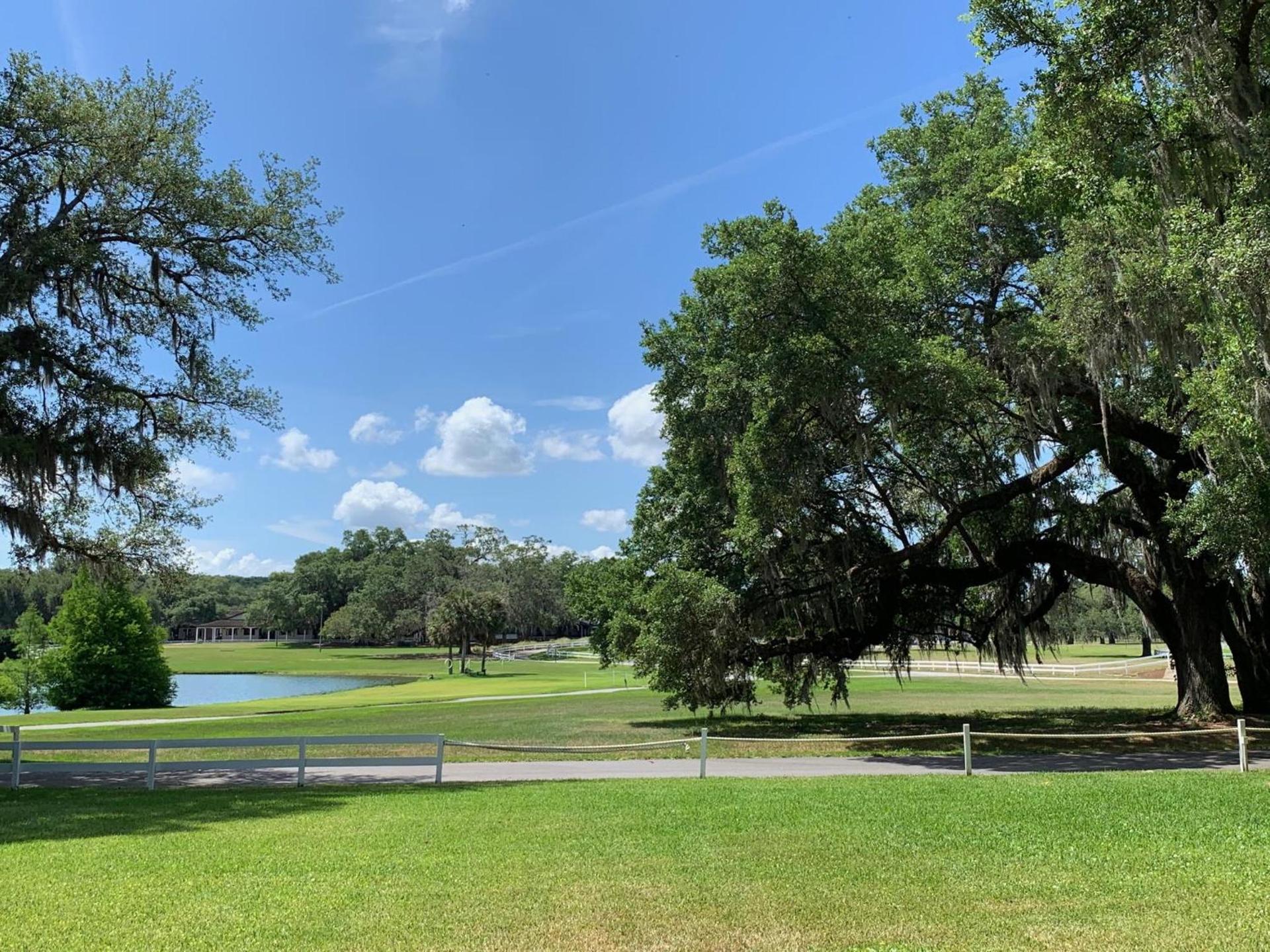 The Grand Oaks Resort photo 4