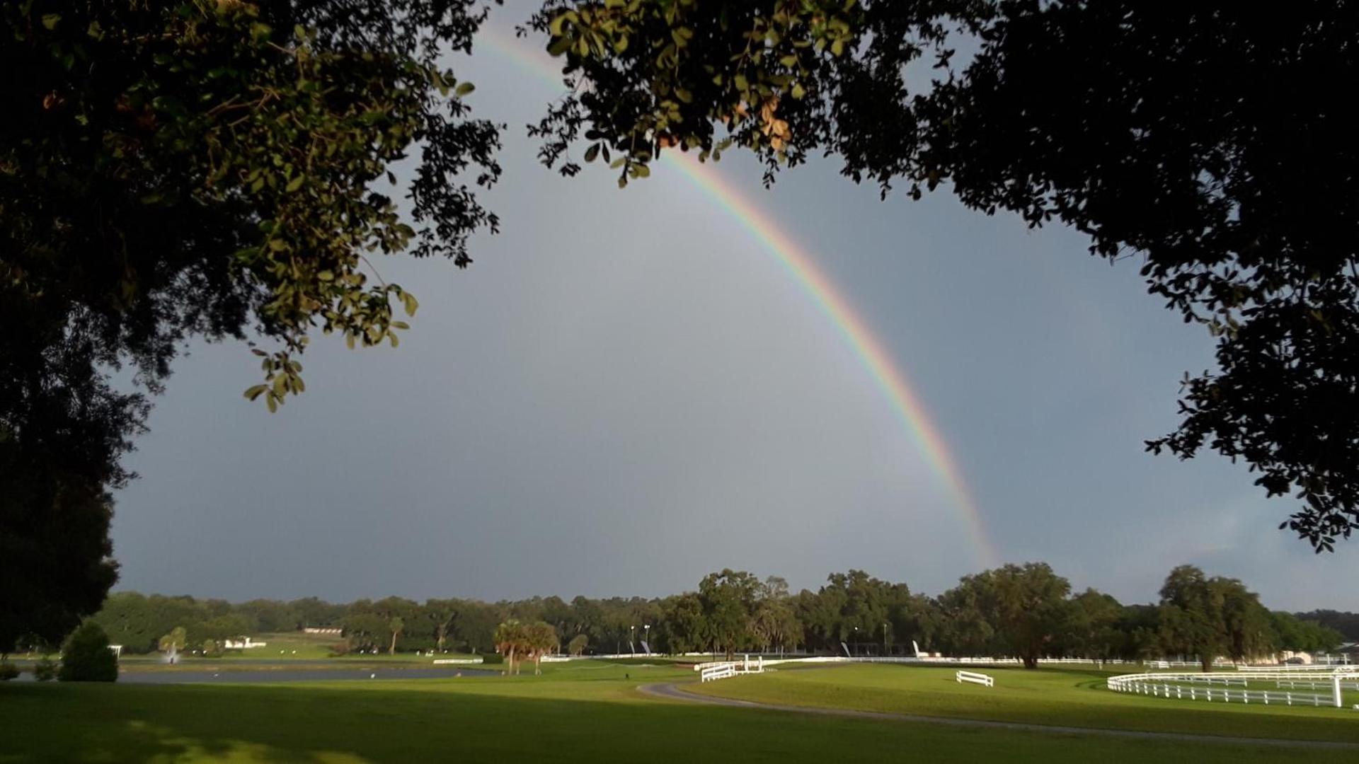 The Grand Oaks Resort photo 5