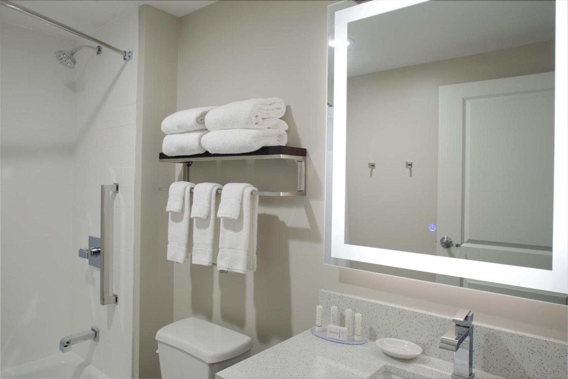 TownePlace Suites by MarriottDetroit Canton photo 28