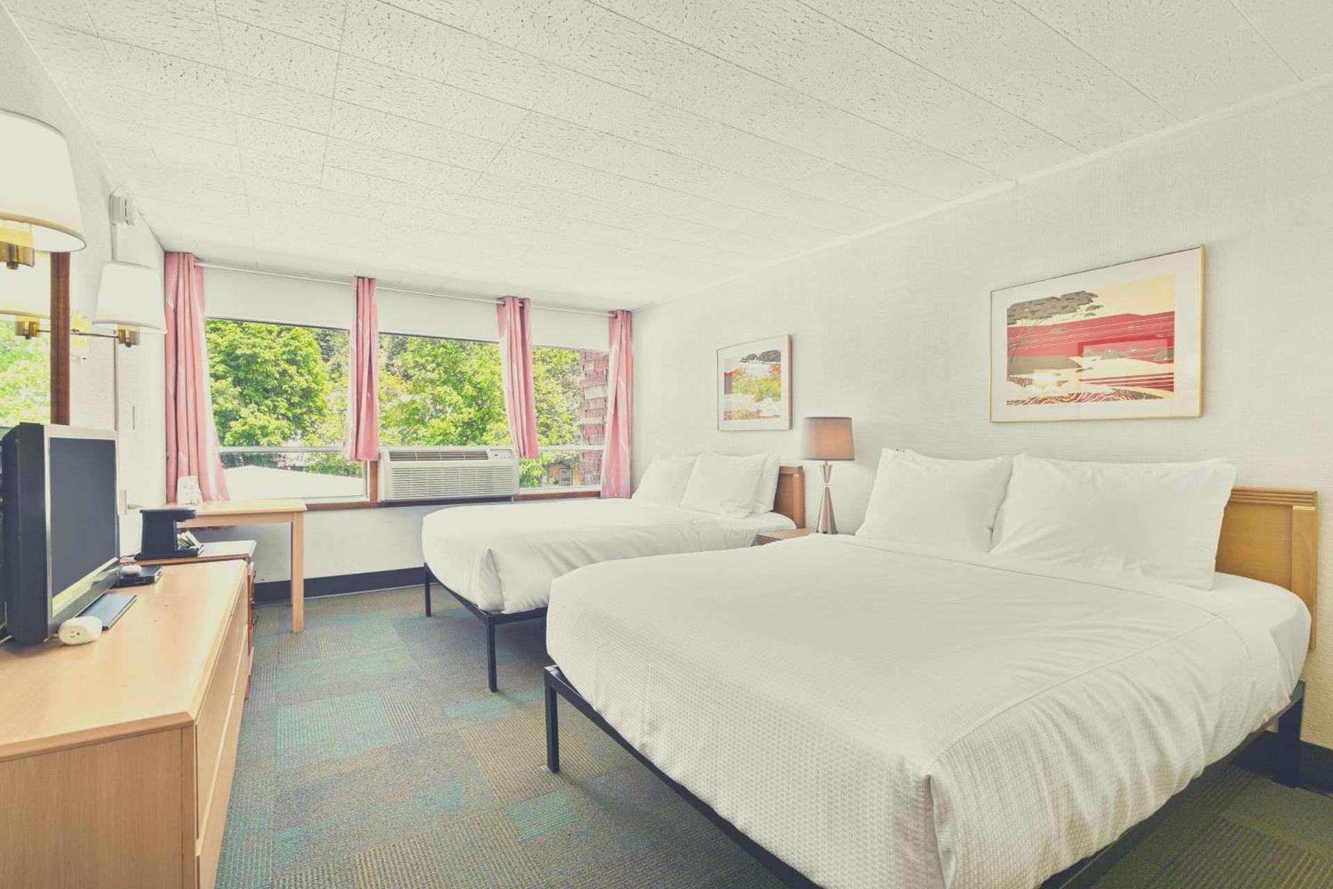 Stardust Motel Wallace photo 75