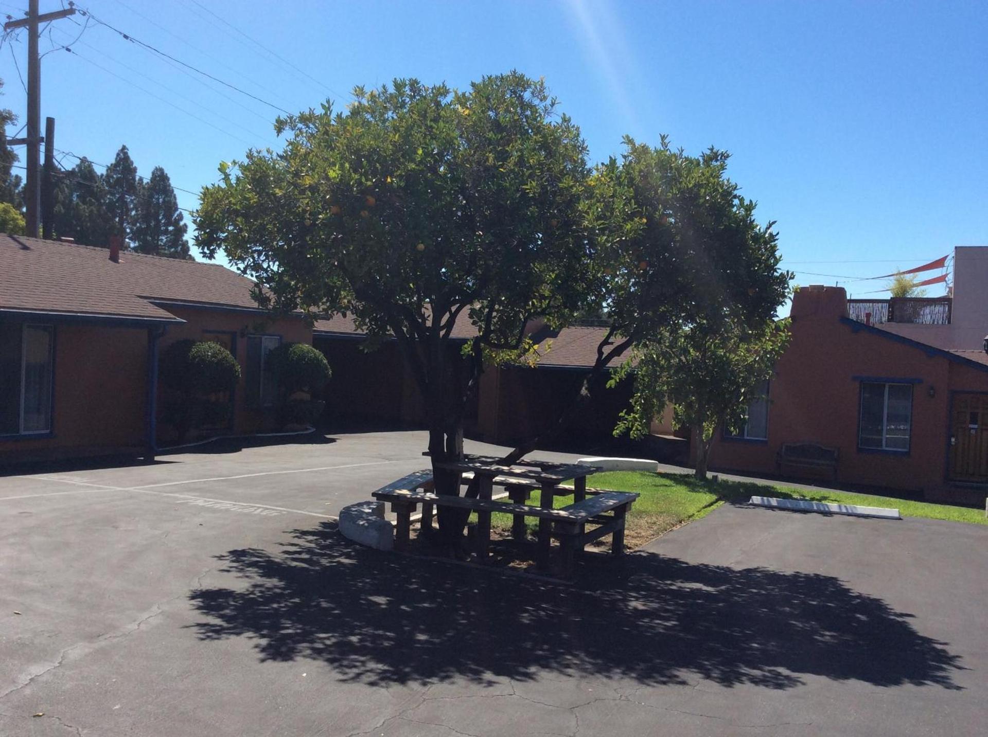 Los Padres Inn photo 23
