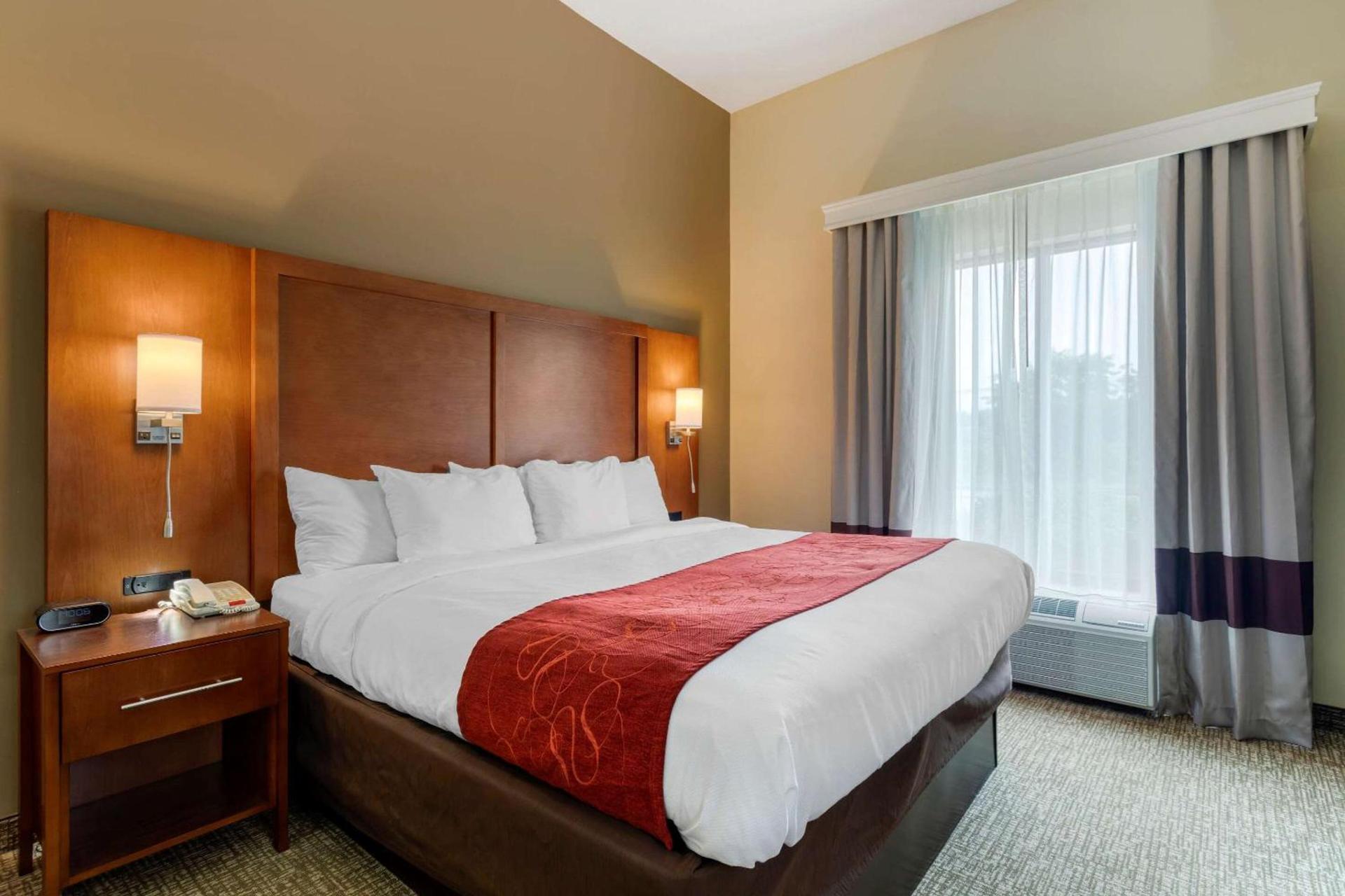 Comfort Suites Kingsport South photo 10