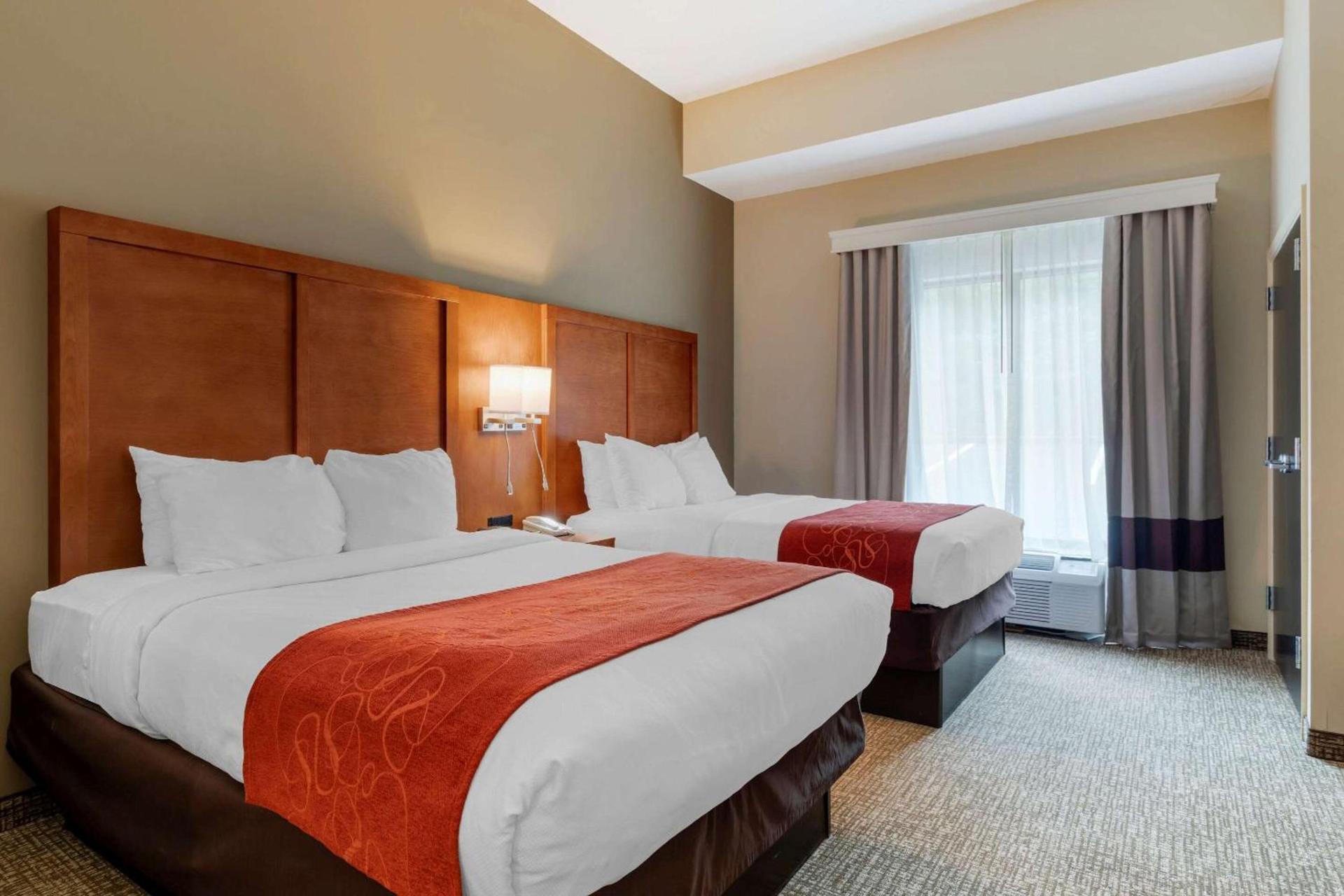 Comfort Suites Kingsport South photo 14