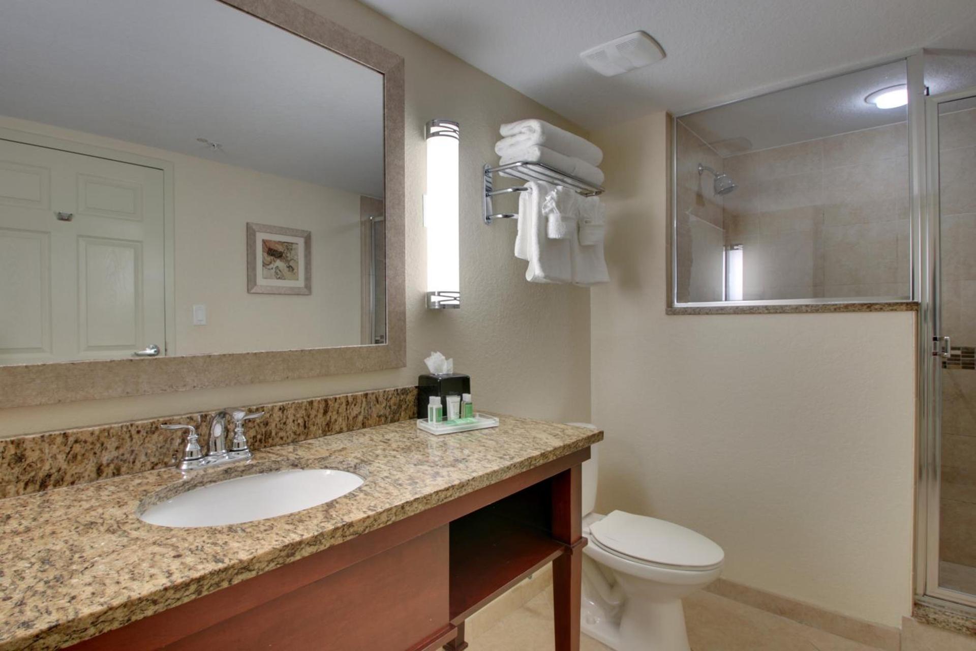 Holiday Inn Resort Orlando - Lake Buena Vista by IHG photo 49