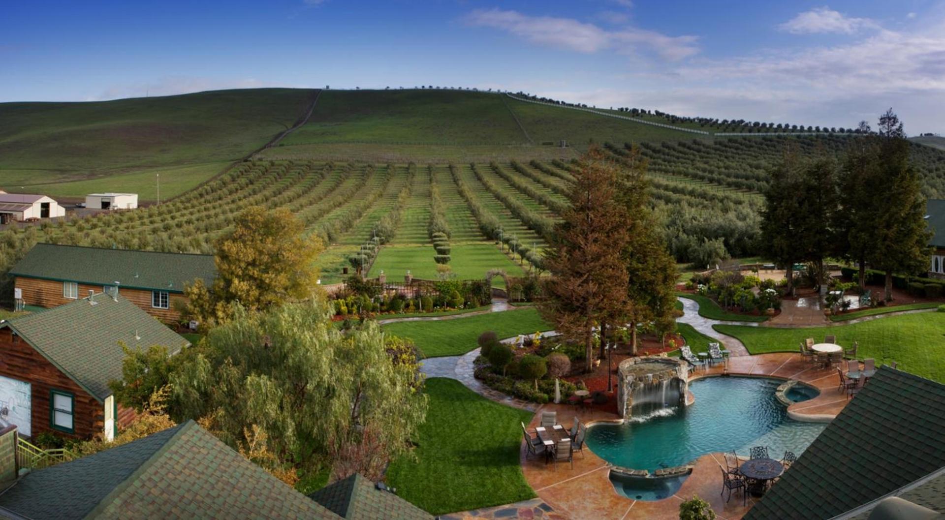 Purple Orchid Resort & Spa photo 2