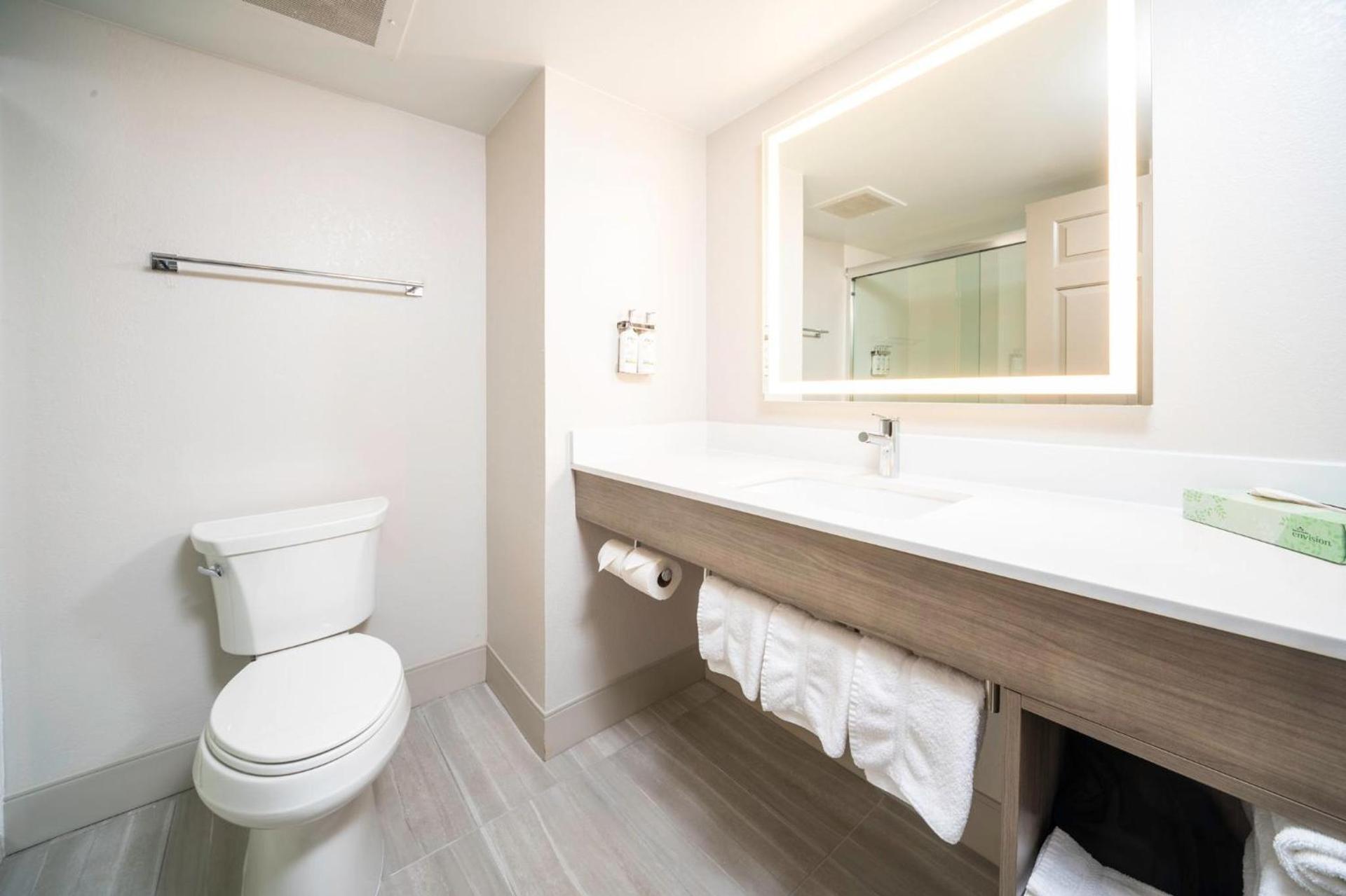 Holiday Inn Express and Suites Atlanta-Johns Creek by IHG photo 25