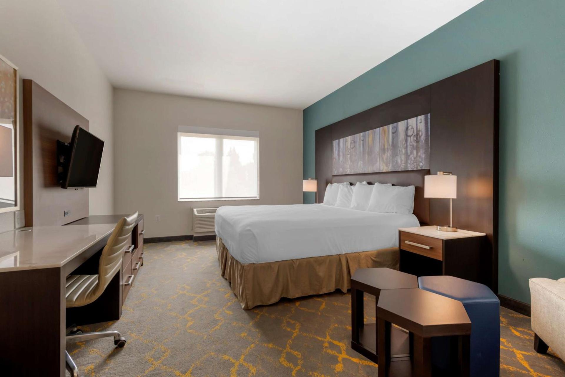 Best Western Plus Isanti photo 25