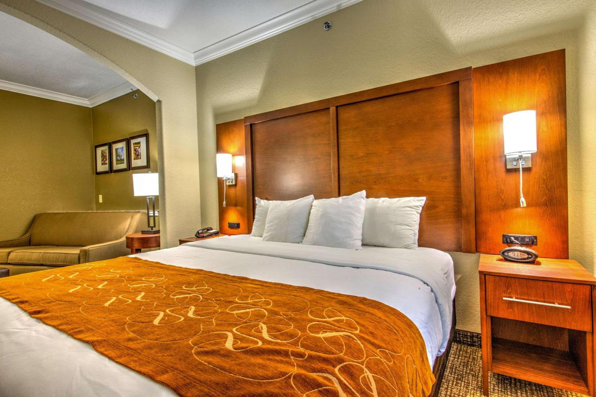 Comfort Suites Tomball Medical Center photo 11
