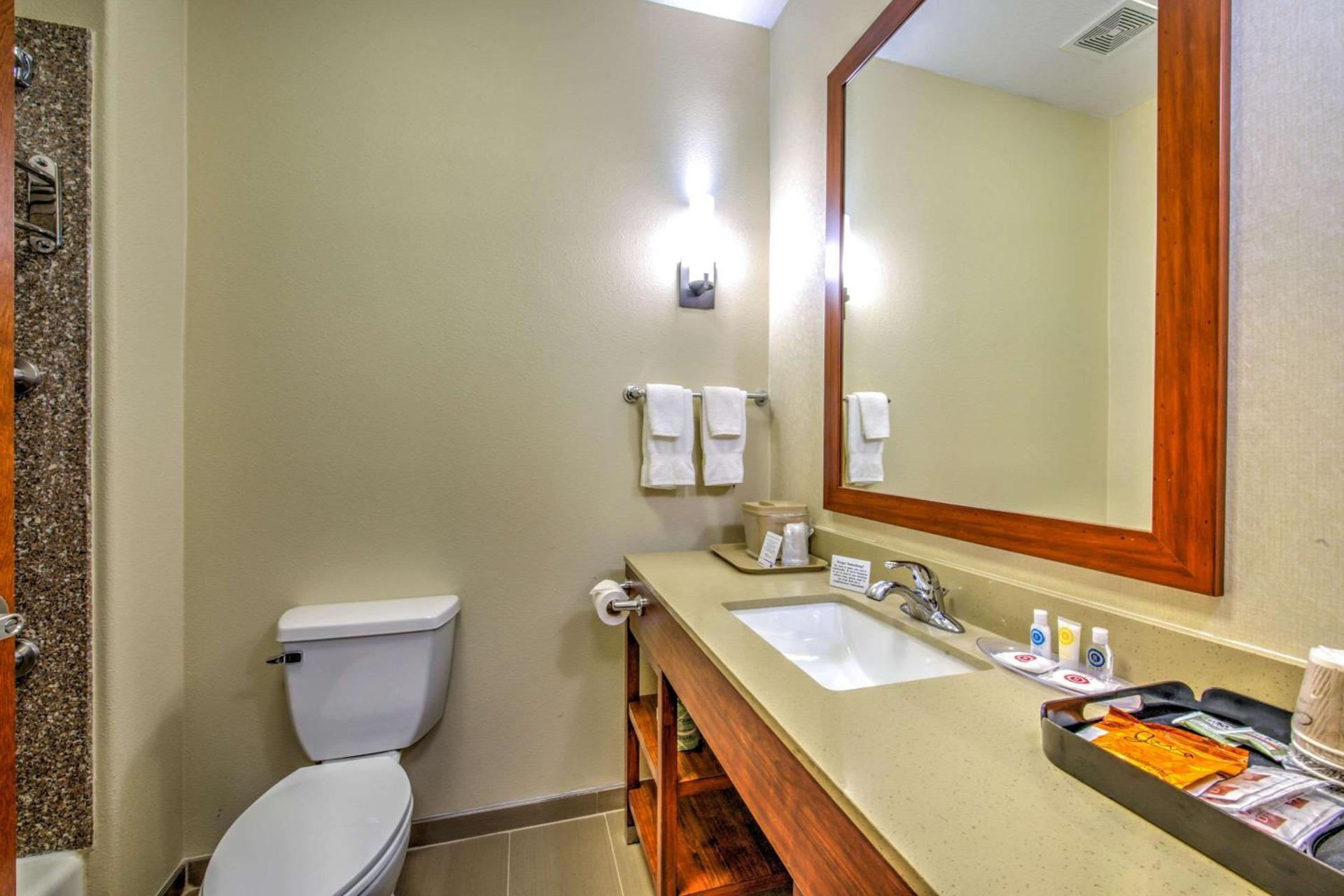 Comfort Suites Tomball Medical Center photo 16